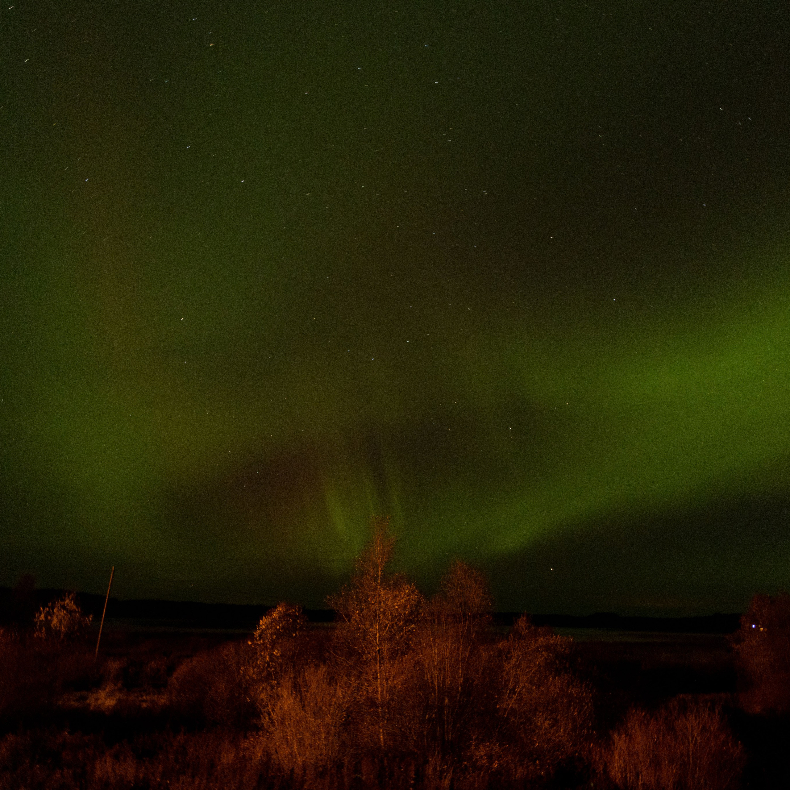 Природа Карелии октябрь 2025. Портретный и семейный фотограф Санкт-Петербург