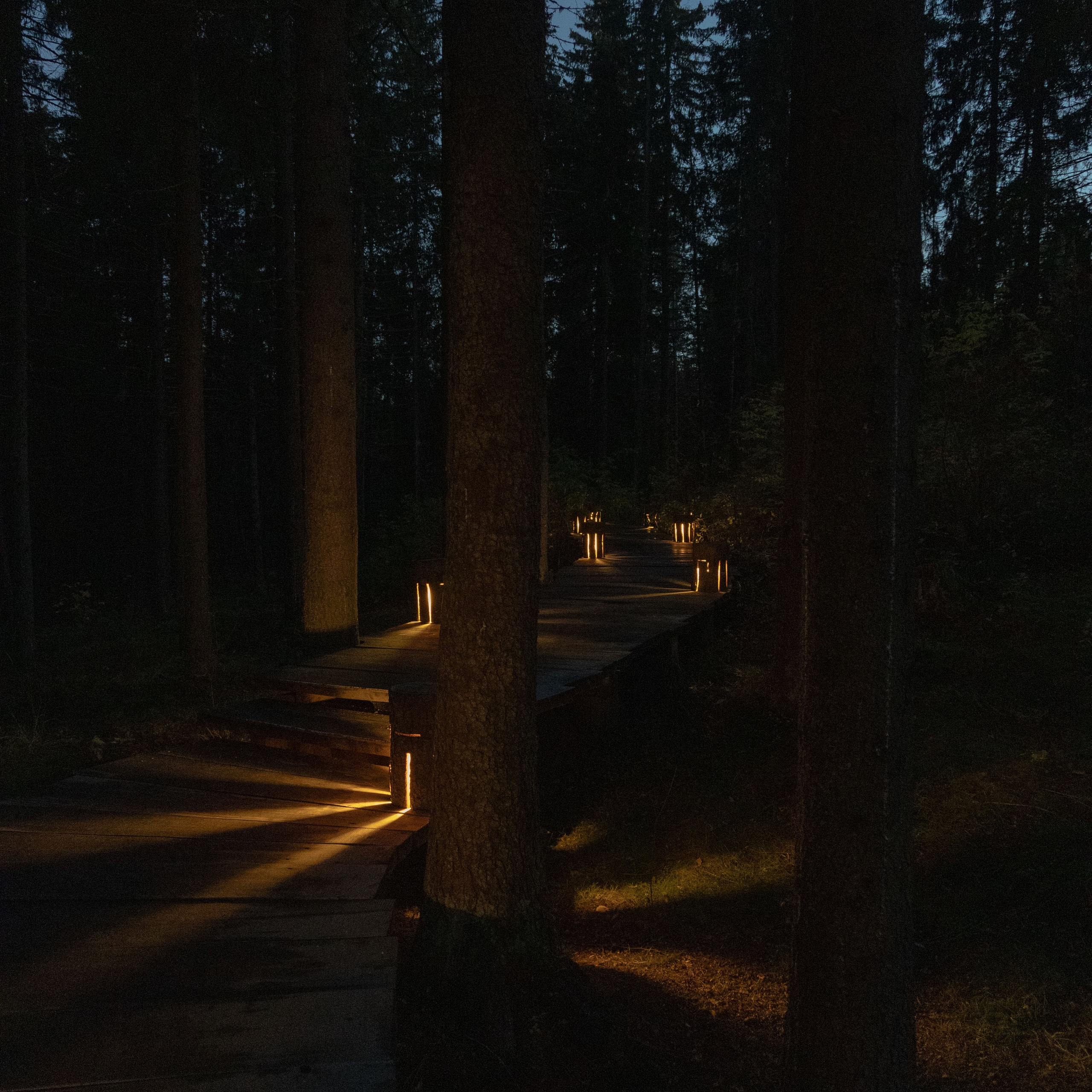 Природа Карелии октябрь 2025. Портретный и семейный фотограф Санкт-Петербург