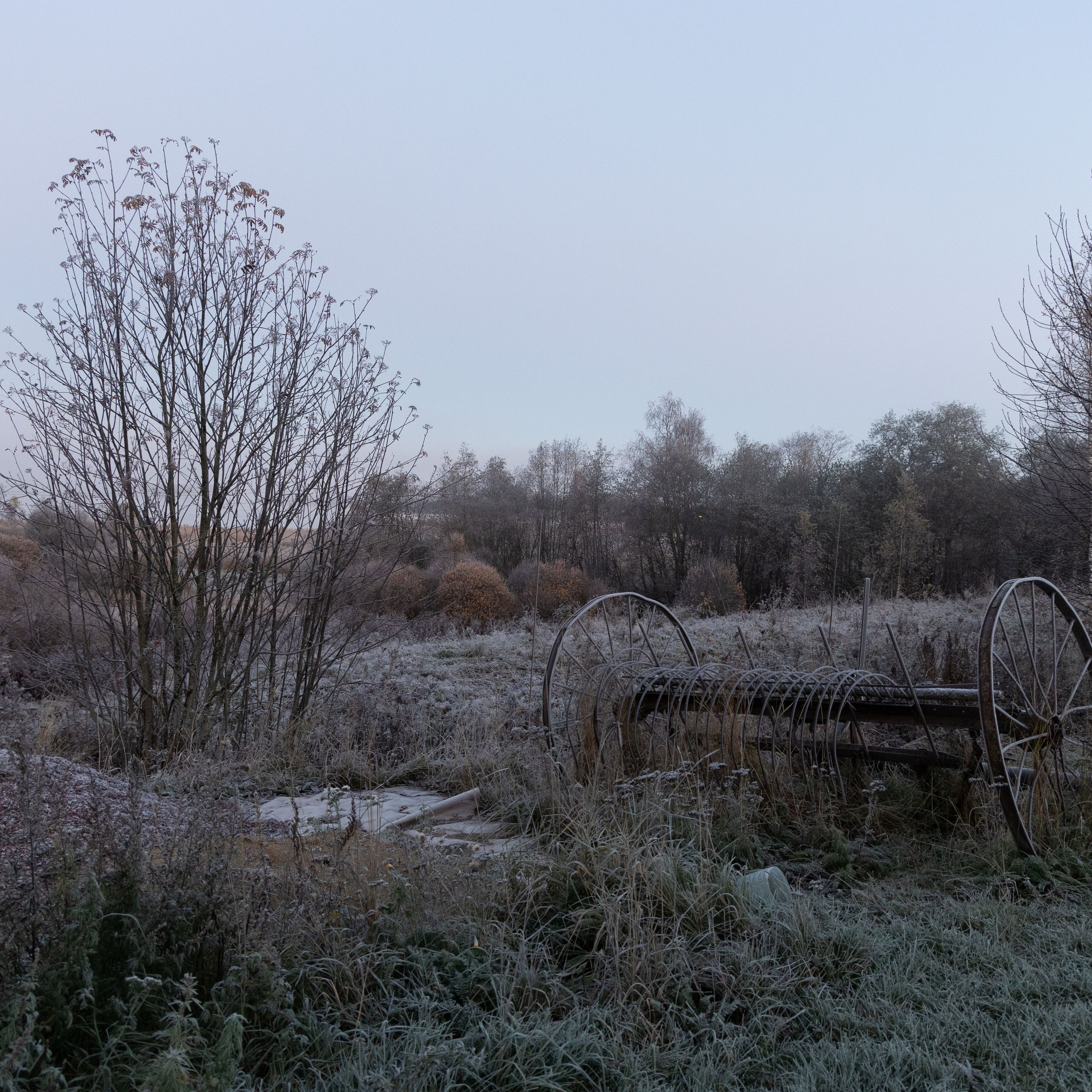 Природа Карелии октябрь 2025. Портретный и семейный фотограф Санкт-Петербург