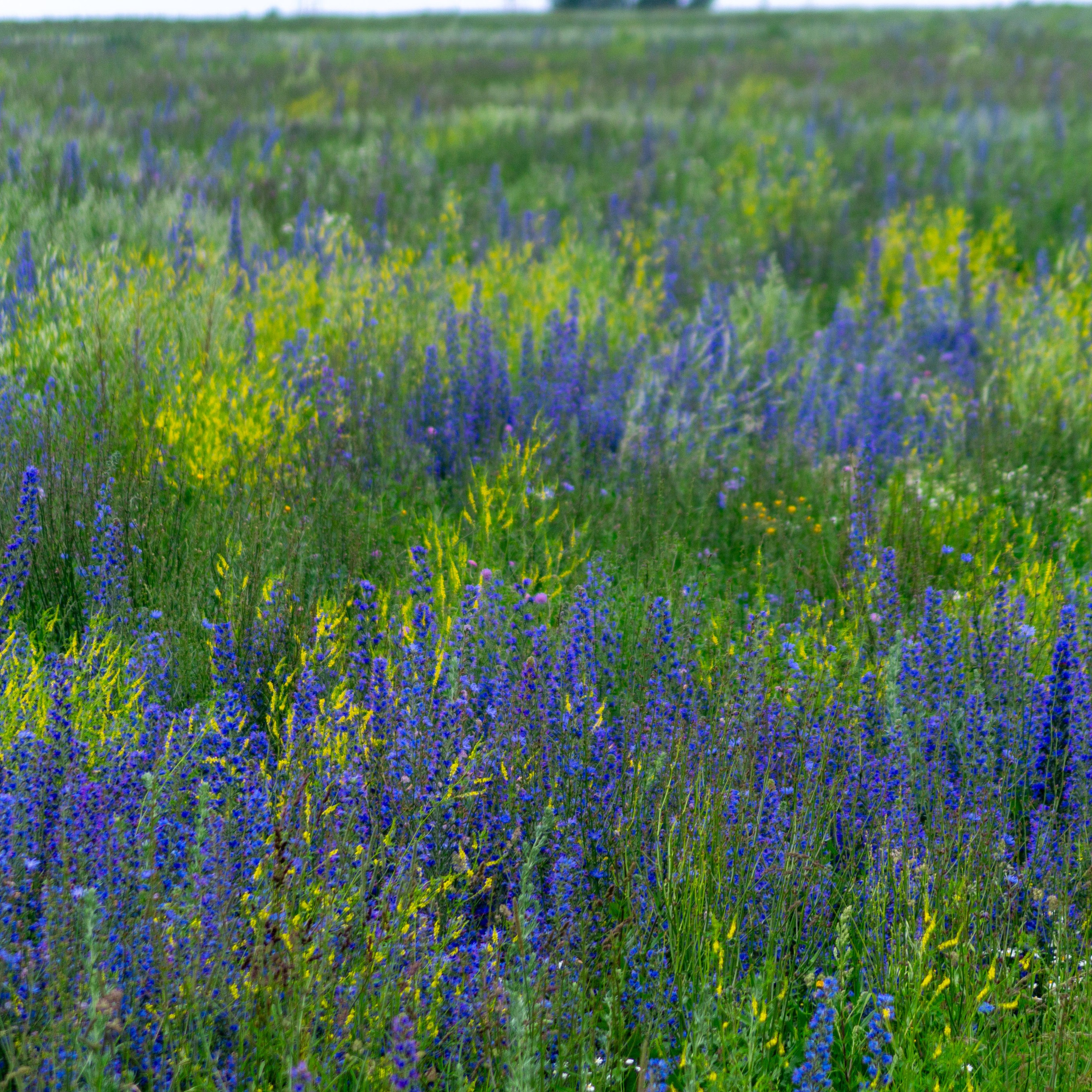 Г. Вятские Поляны лето 2025. Портретный и семейный фотограф Санкт-Петербург