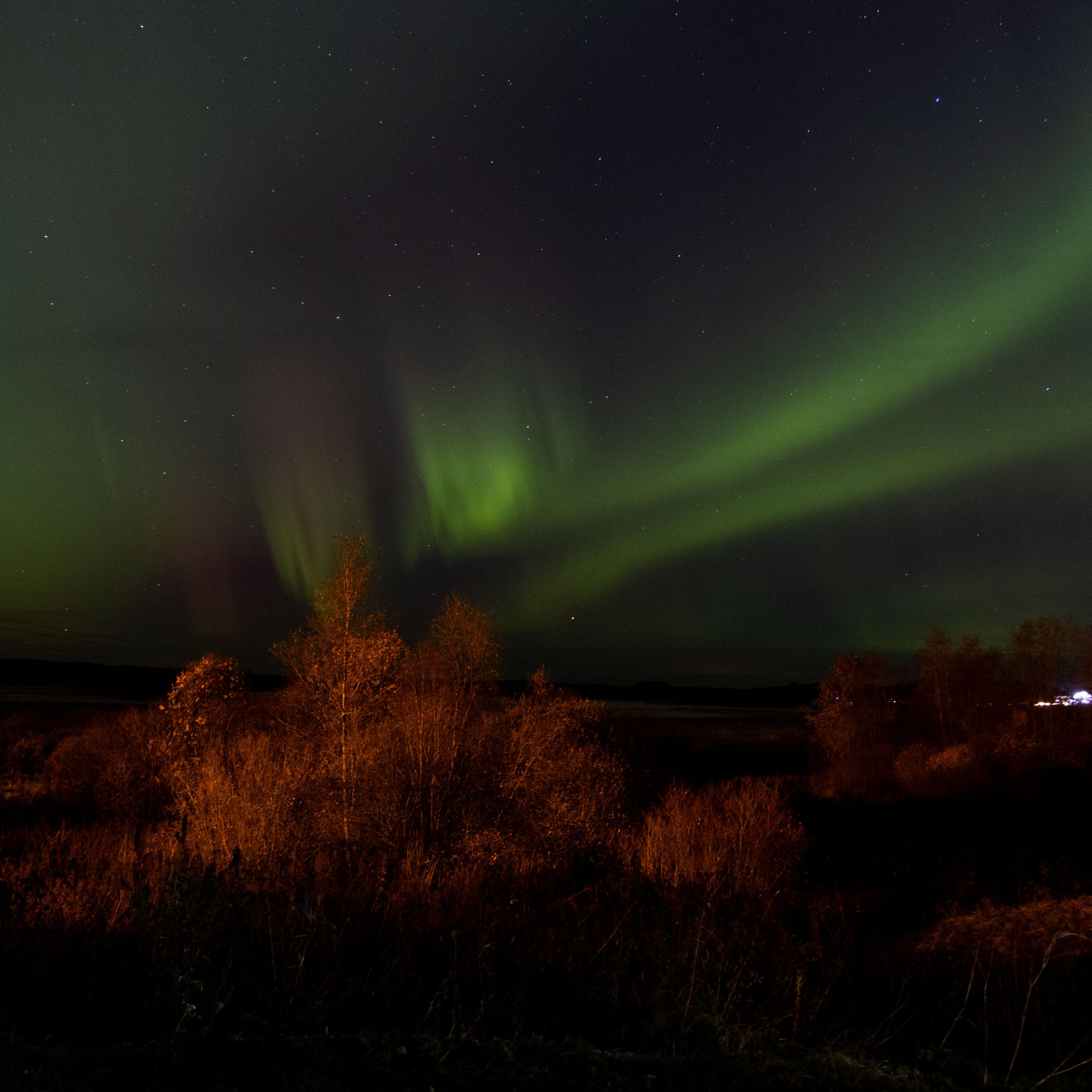 Природа Карелии октябрь 2025. Портретный и семейный фотограф Санкт-Петербург