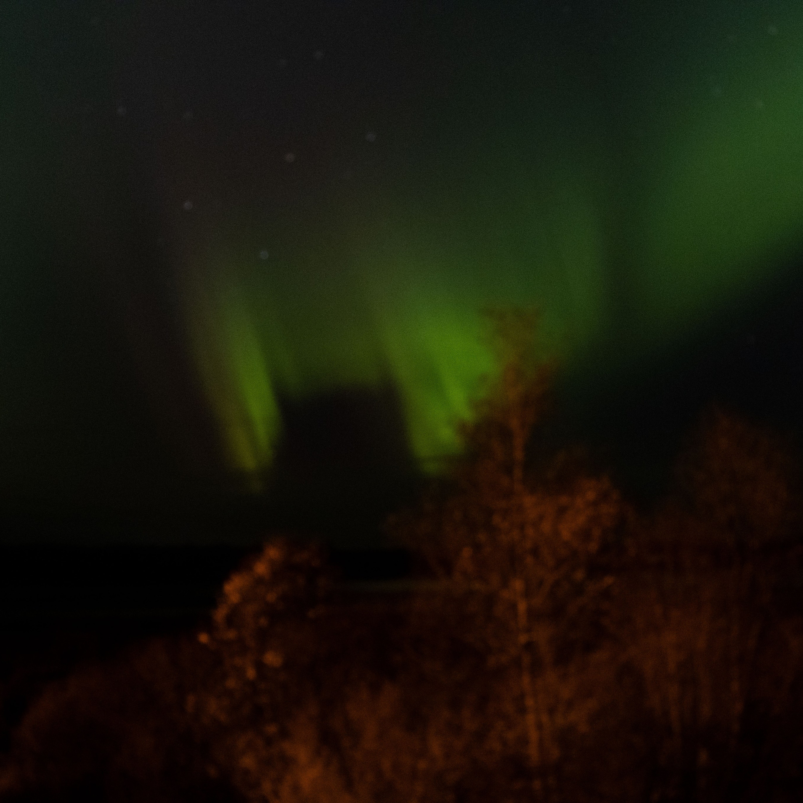 Природа Карелии октябрь 2025. Портретный и семейный фотограф Санкт-Петербург