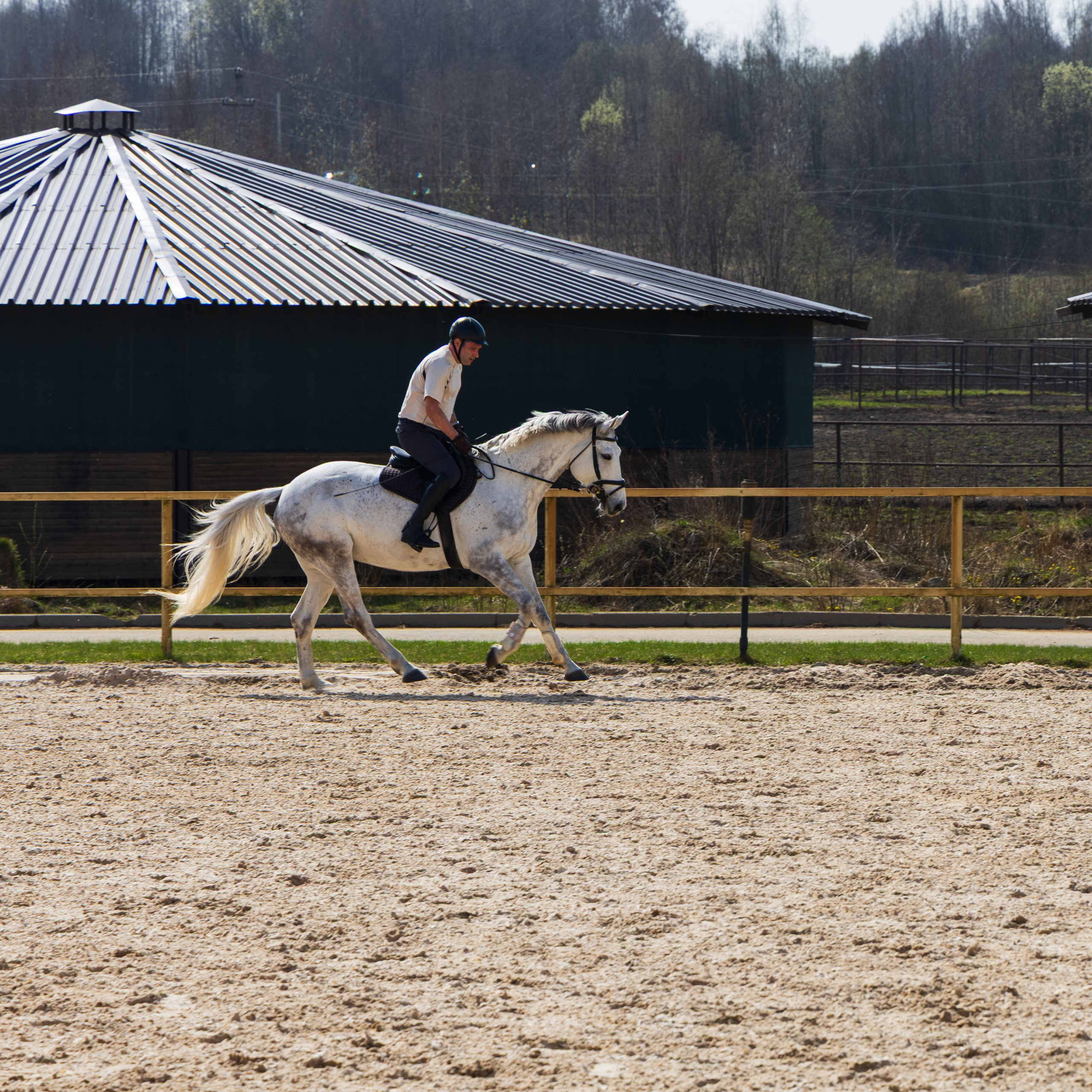 Репортаж.Конная тренировка. Портретный и семейный фотограф Санкт-Петербург