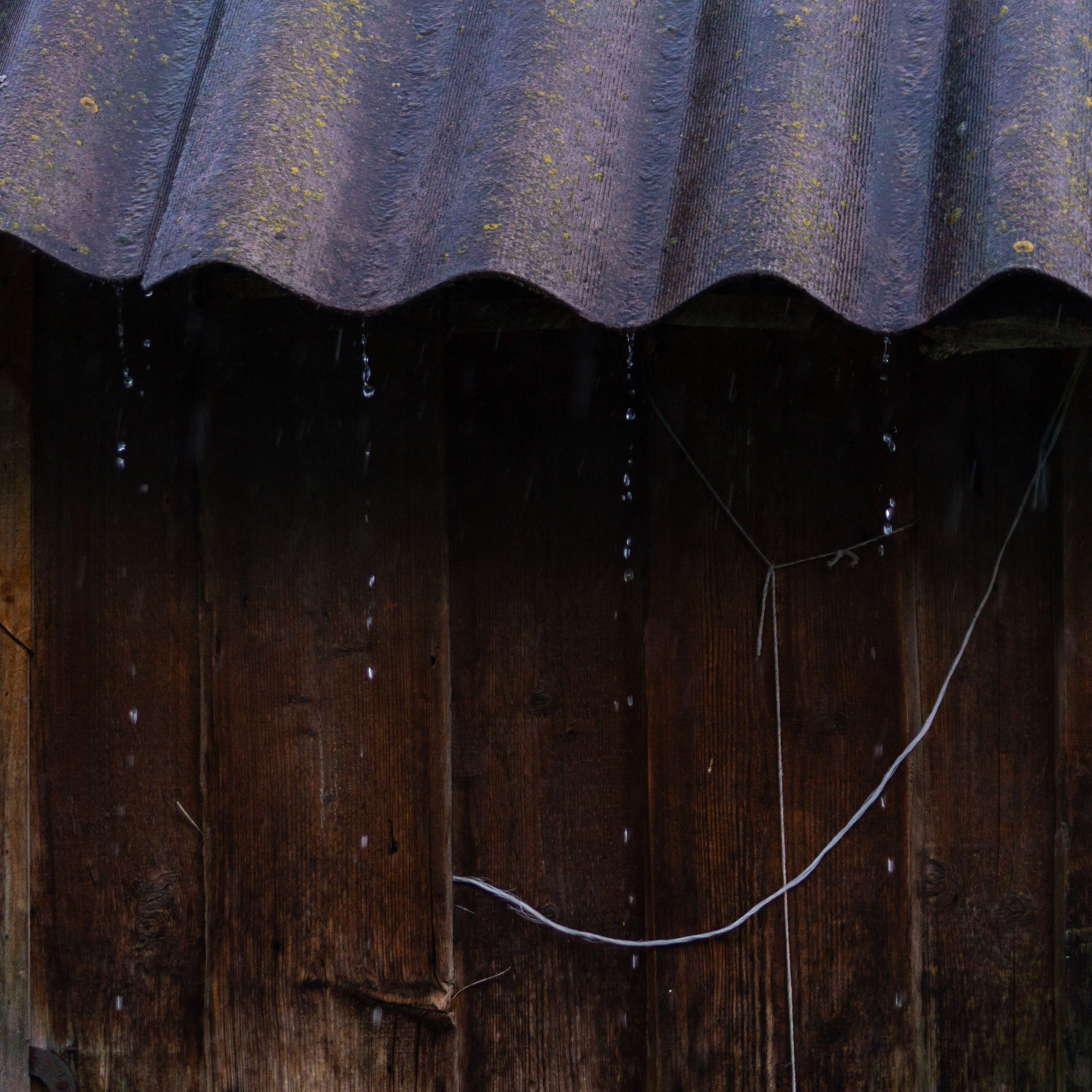 Г. Вятские Поляны лето 2025. Портретный и семейный фотограф Санкт-Петербург