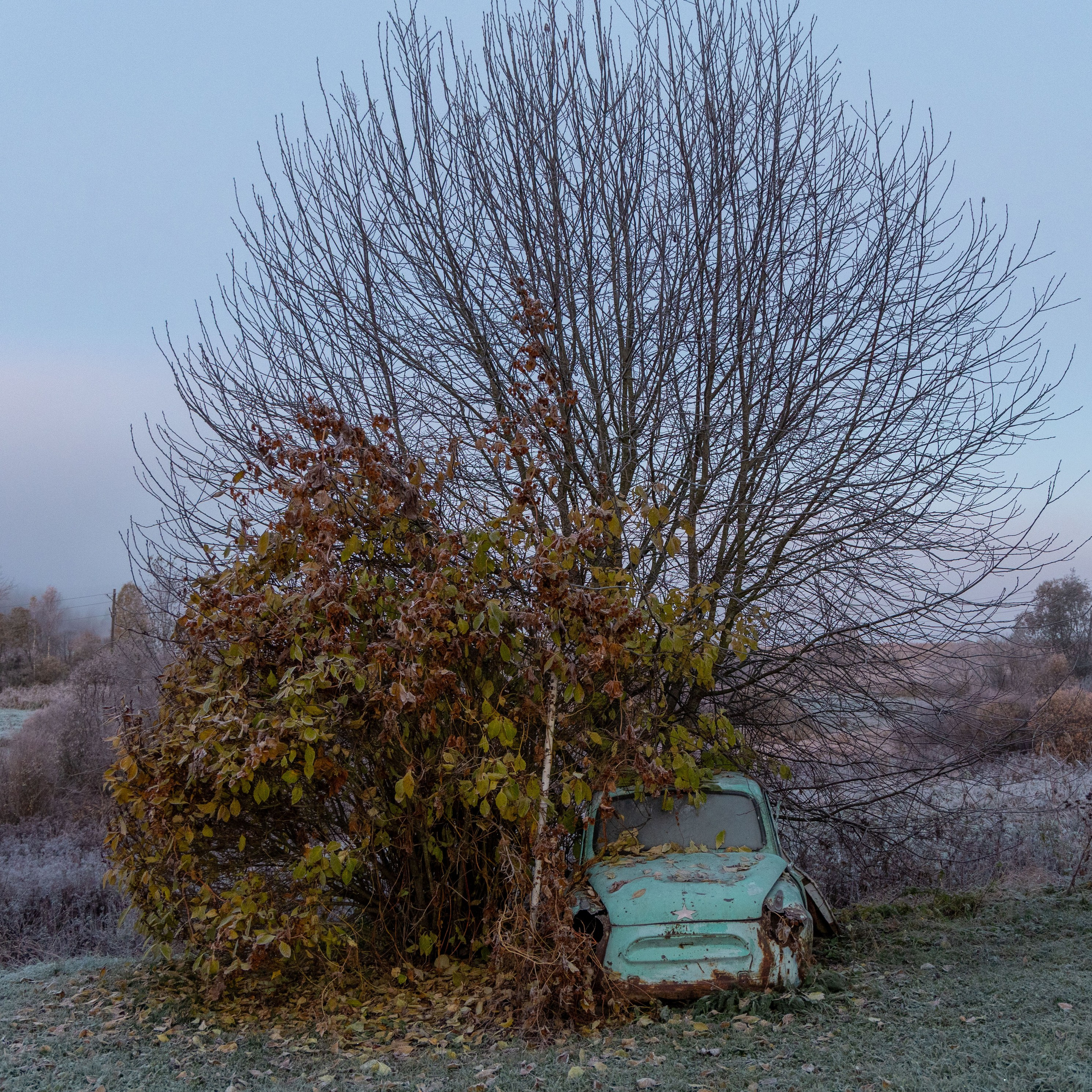 Природа Карелии октябрь 2025. Портретный и семейный фотограф Санкт-Петербург