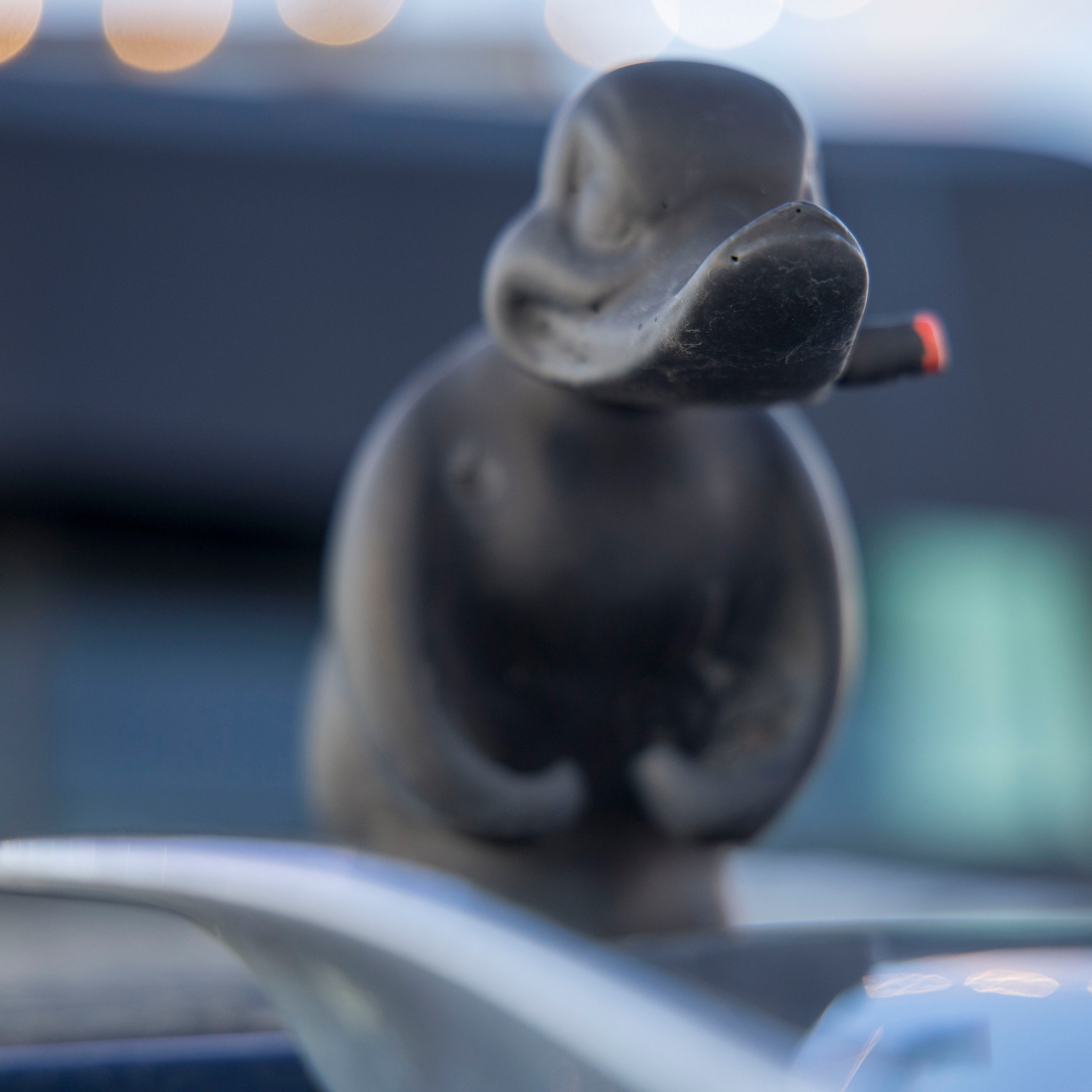 Разности. Портретный и семейный фотограф Санкт-Петербург