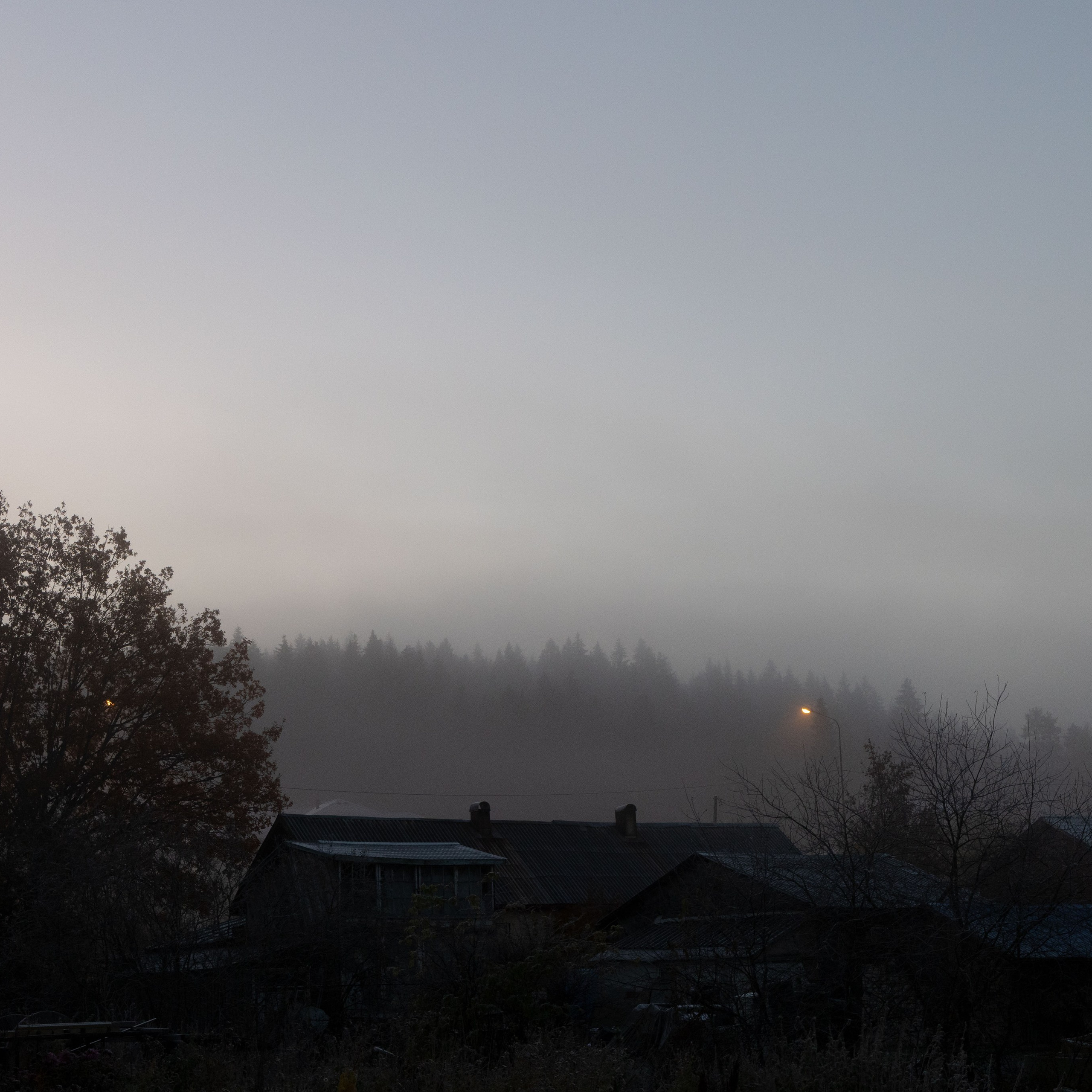 Природа Карелии октябрь 2025. Портретный и семейный фотограф Санкт-Петербург