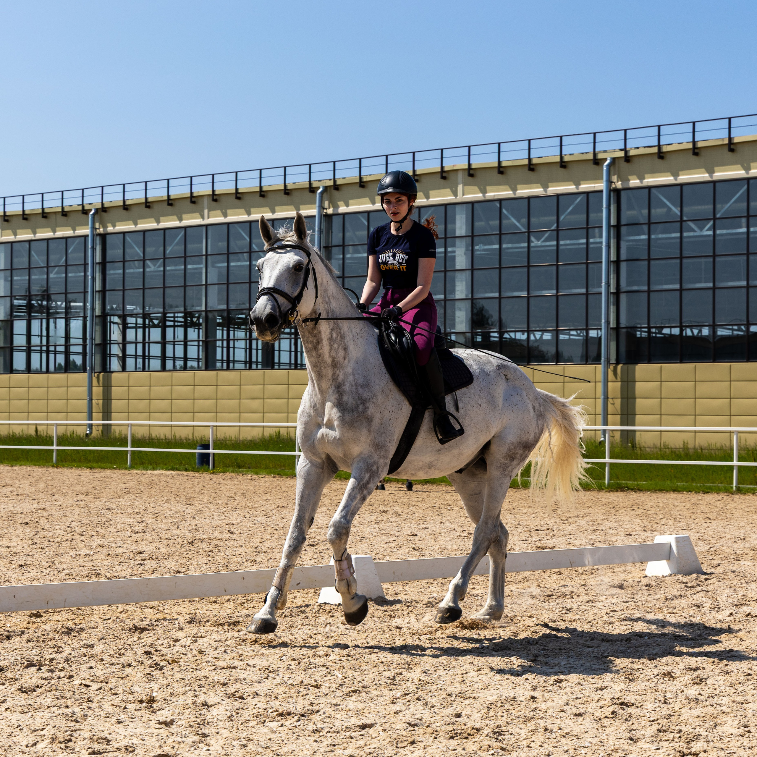 Репортаж.Конная тренировка. Портретный и семейный фотограф Санкт-Петербург