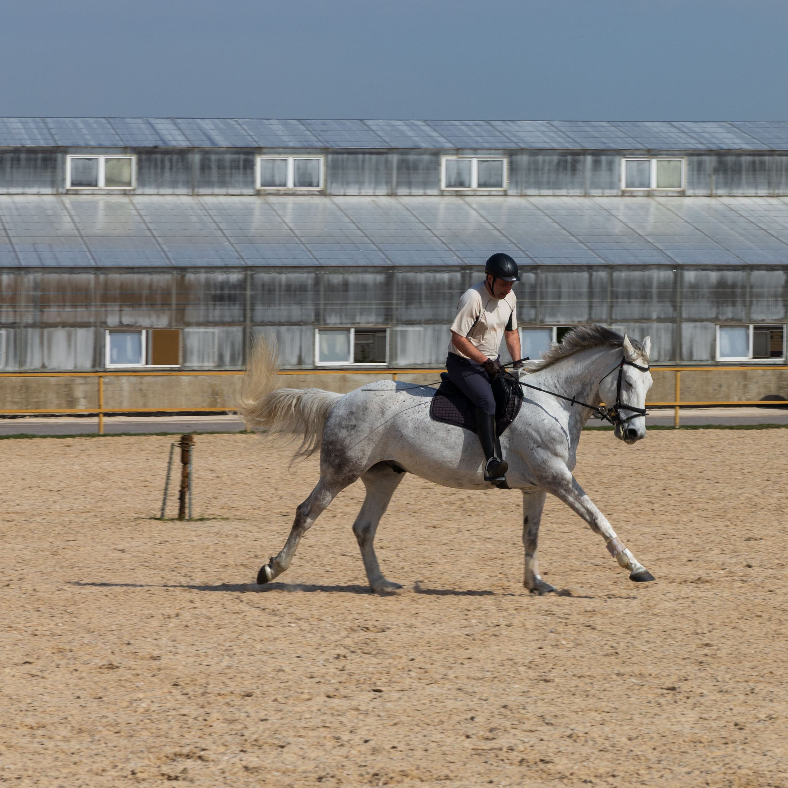 Репортаж.Конная тренировка. Портретный и семейный фотограф Санкт-Петербург