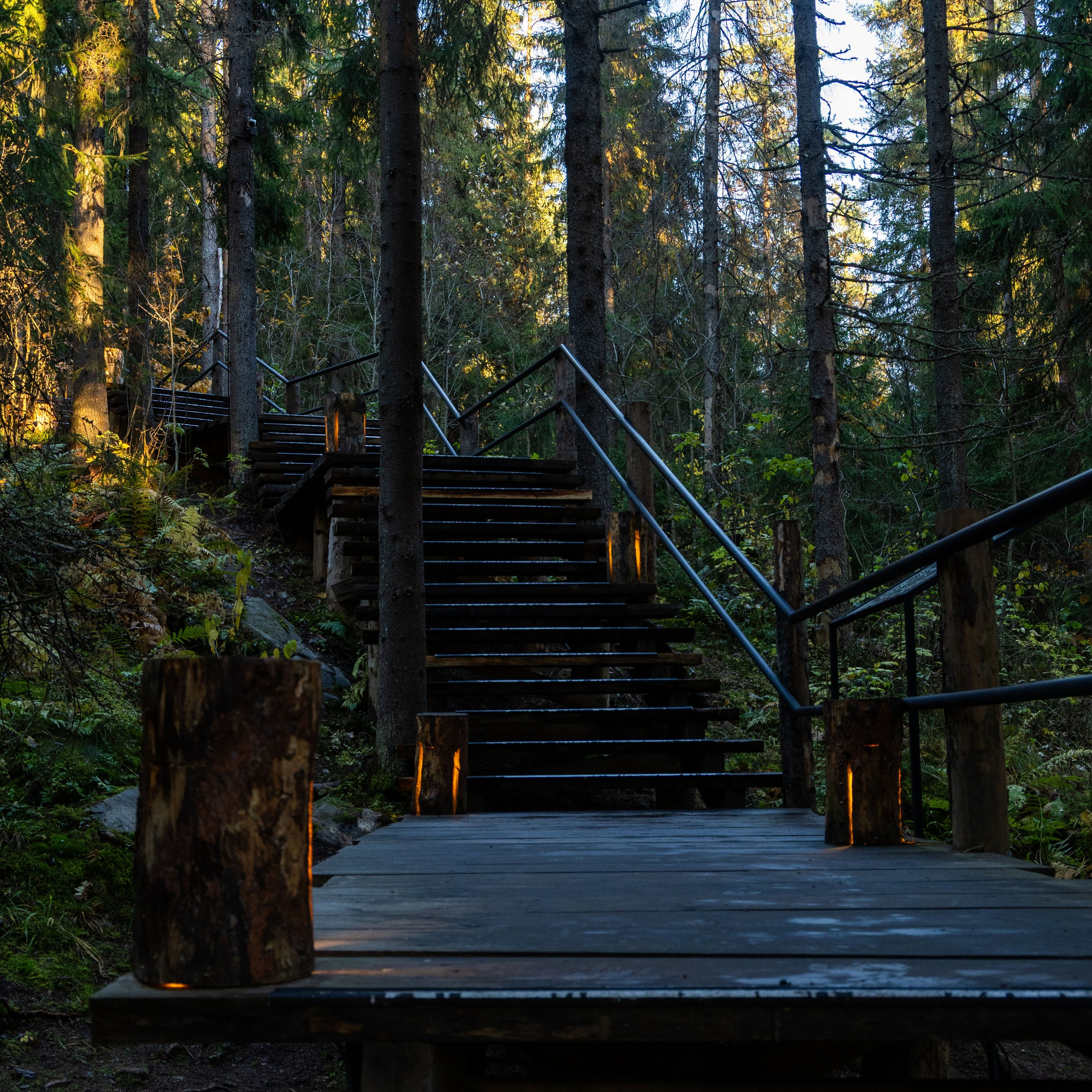 Природа Карелии октябрь 2025. Портретный и семейный фотограф Санкт-Петербург