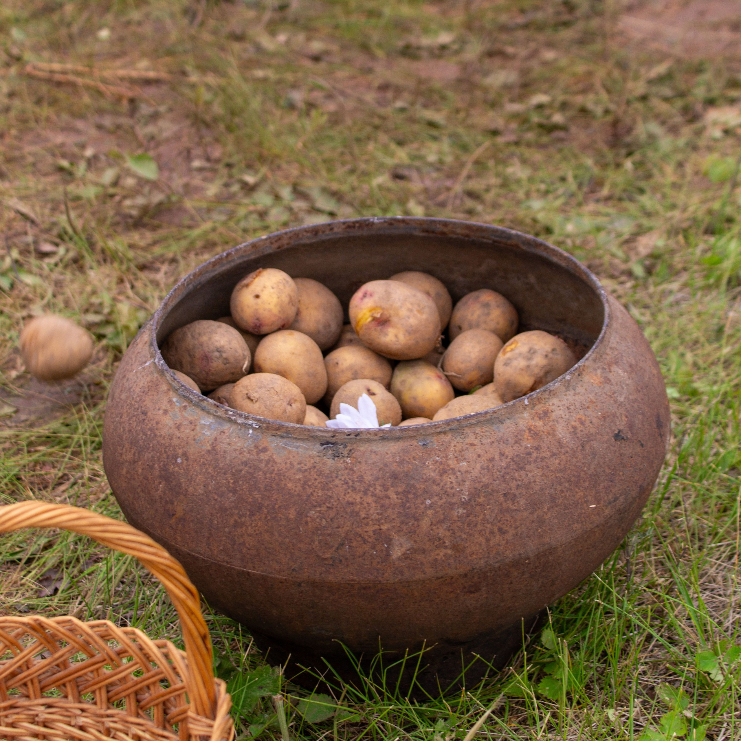 Всероссийский собантуй 2025. Портретный и семейный фотограф Санкт-Петербург