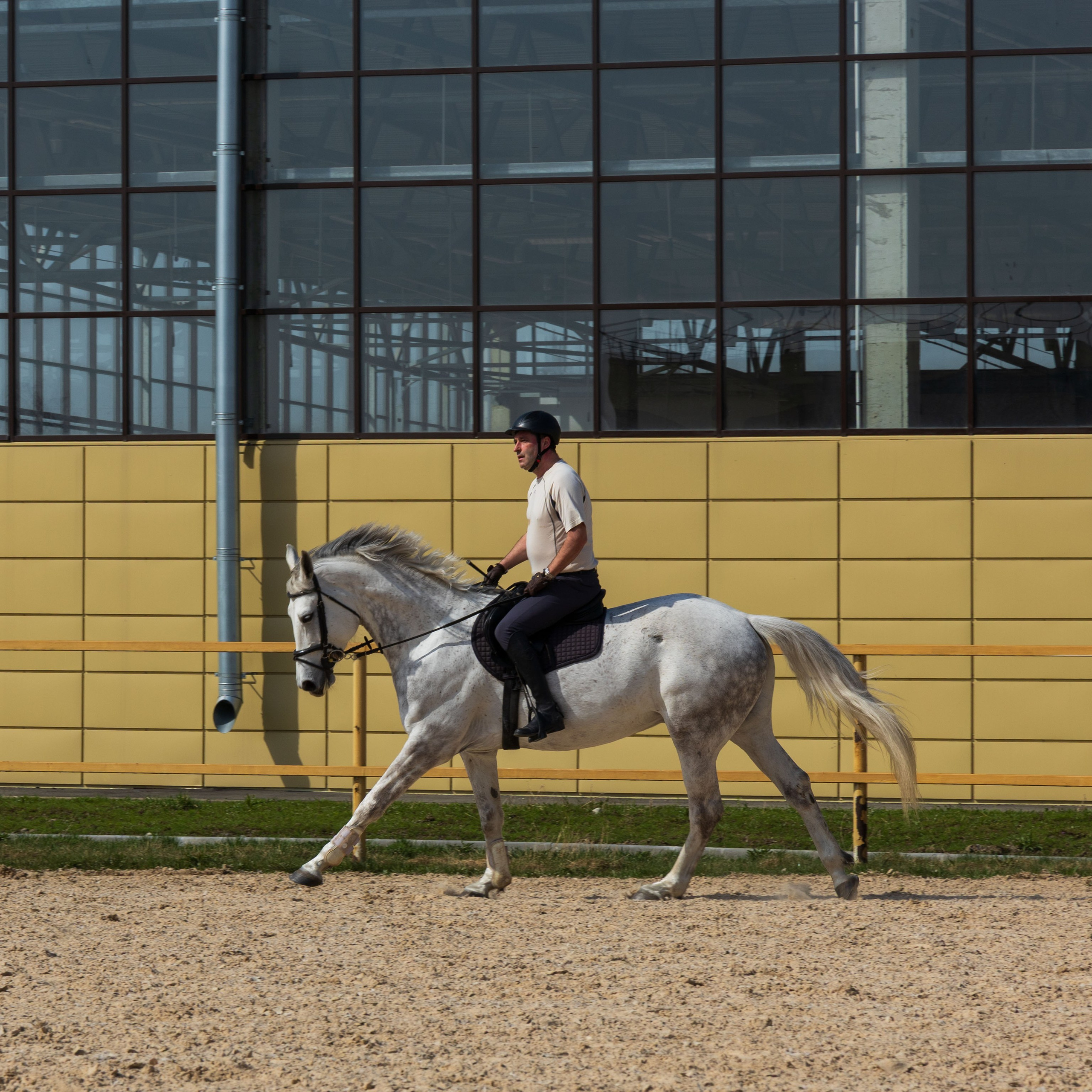 Репортаж.Конная тренировка. Портретный и семейный фотограф Санкт-Петербург