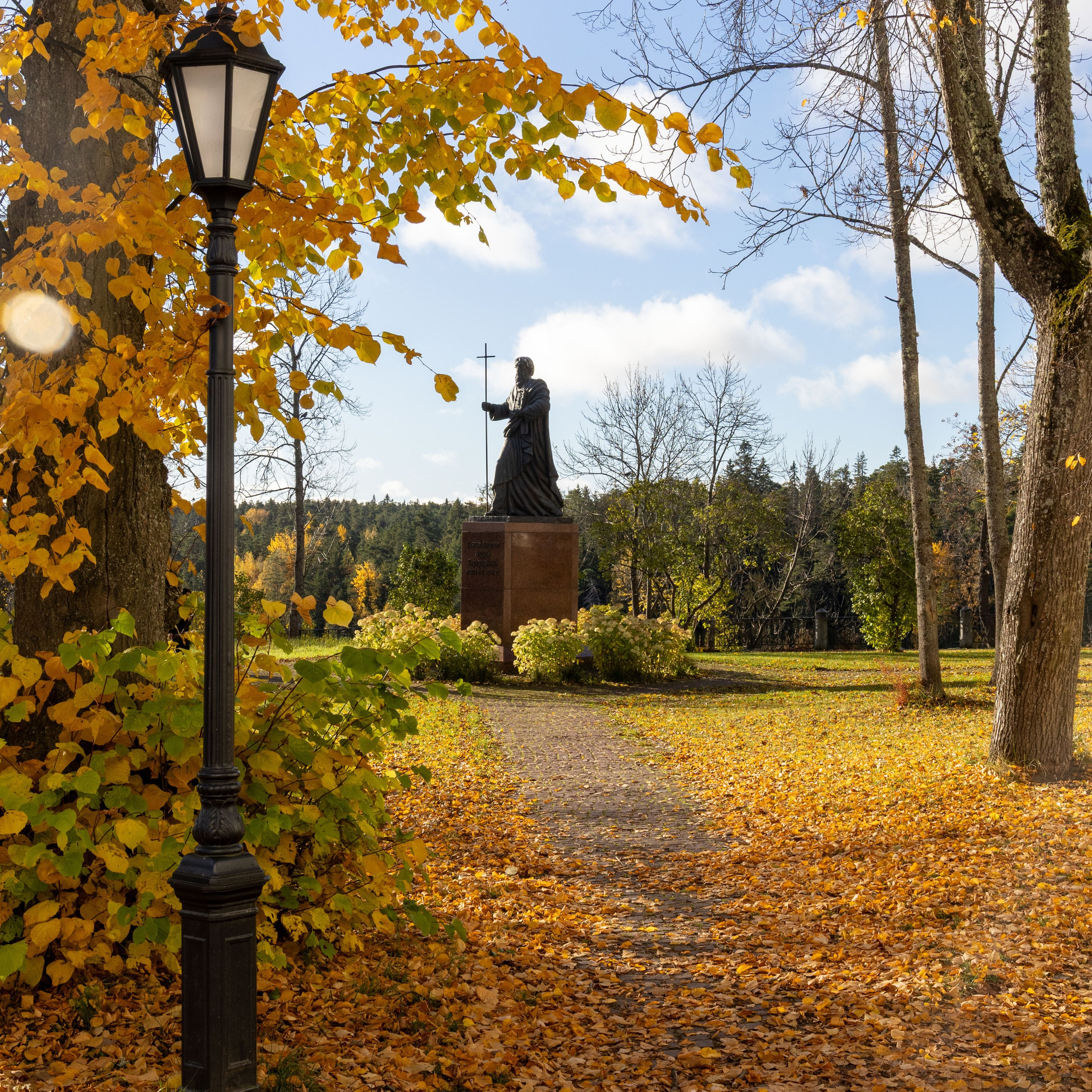 Природа Карелии октябрь 2025. Портретный и семейный фотограф Санкт-Петербург