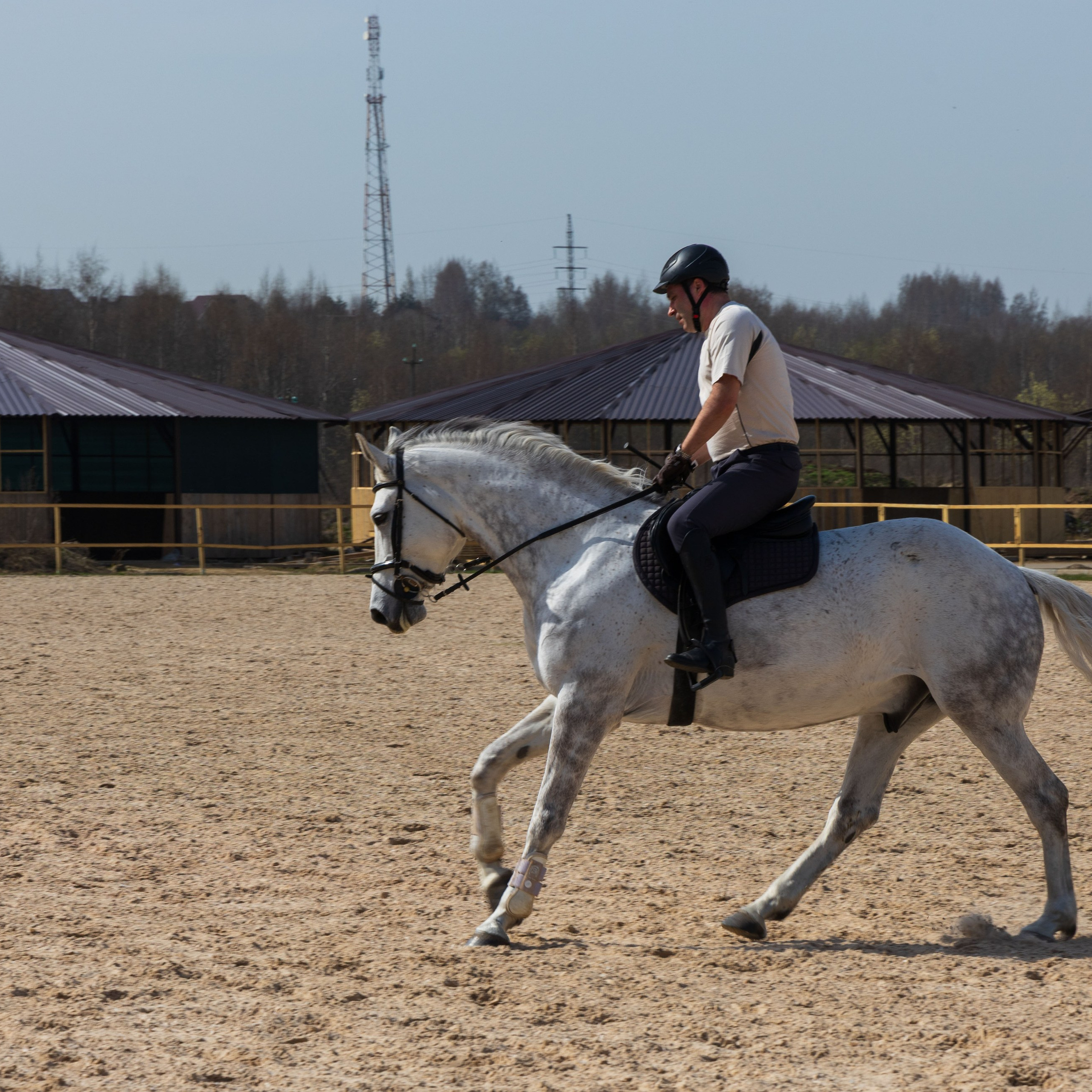 Репортаж.Конная тренировка. Портретный и семейный фотограф Санкт-Петербург
