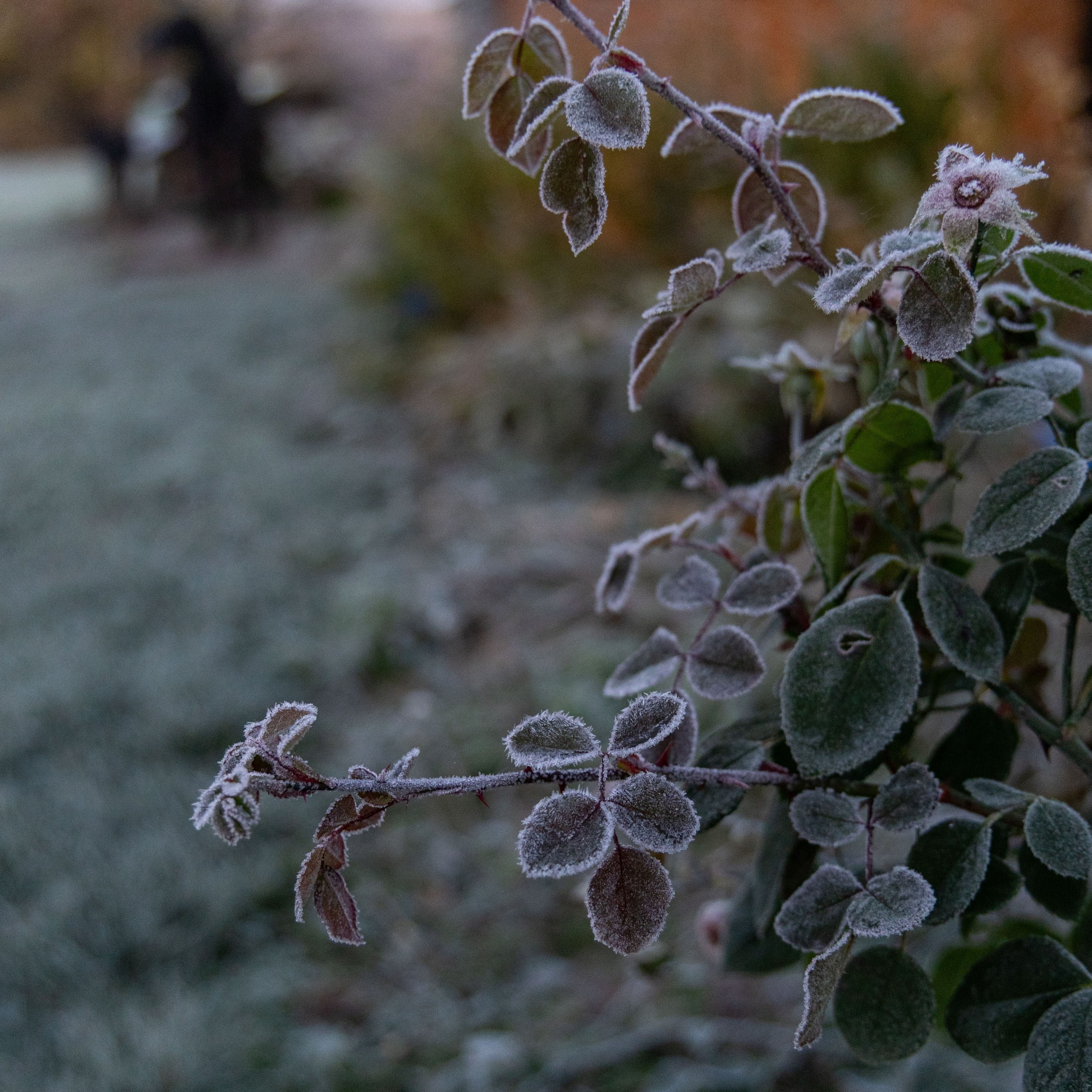 Природа Карелии октябрь 2025. Портретный и семейный фотограф Санкт-Петербург