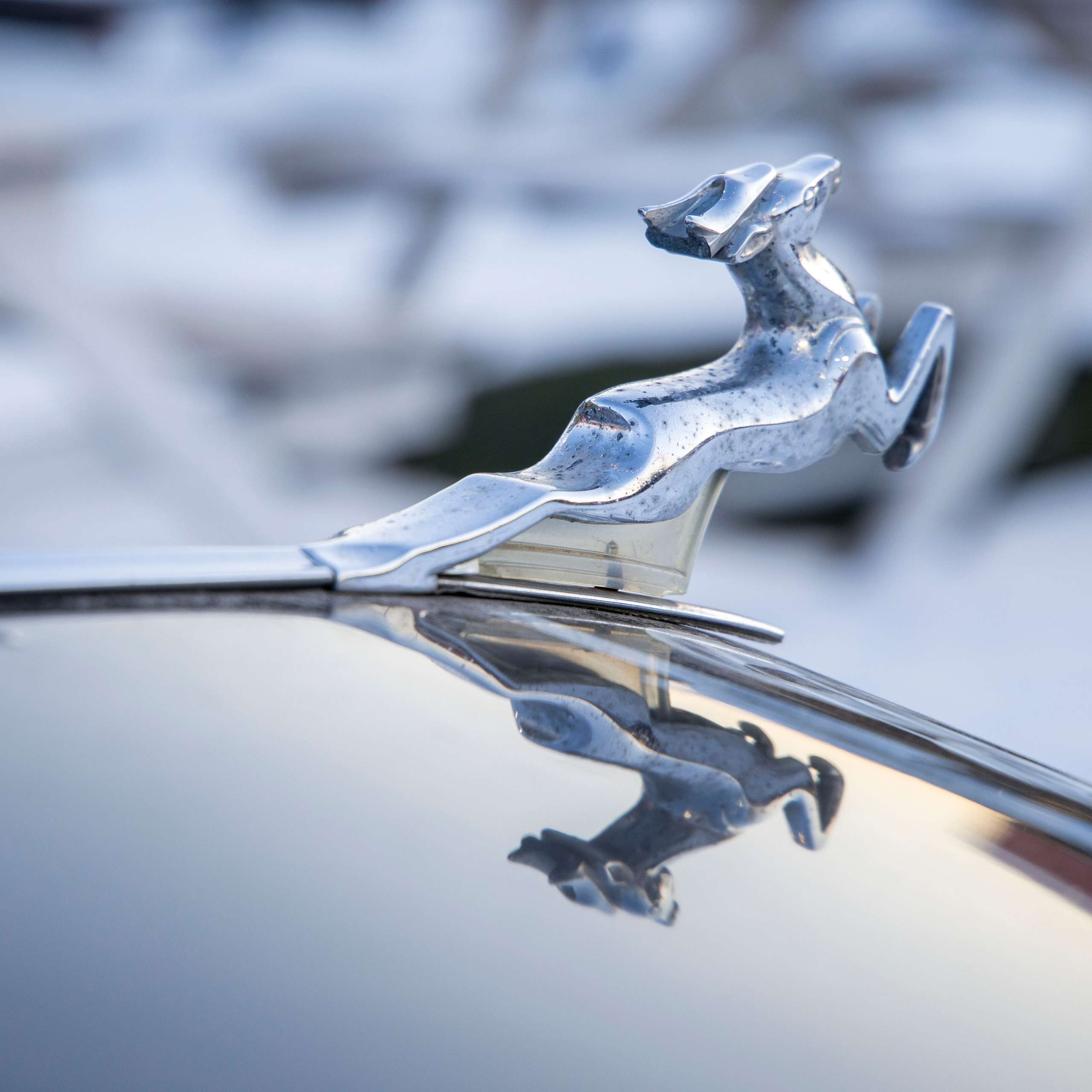 Разности. Портретный и семейный фотограф Санкт-Петербург