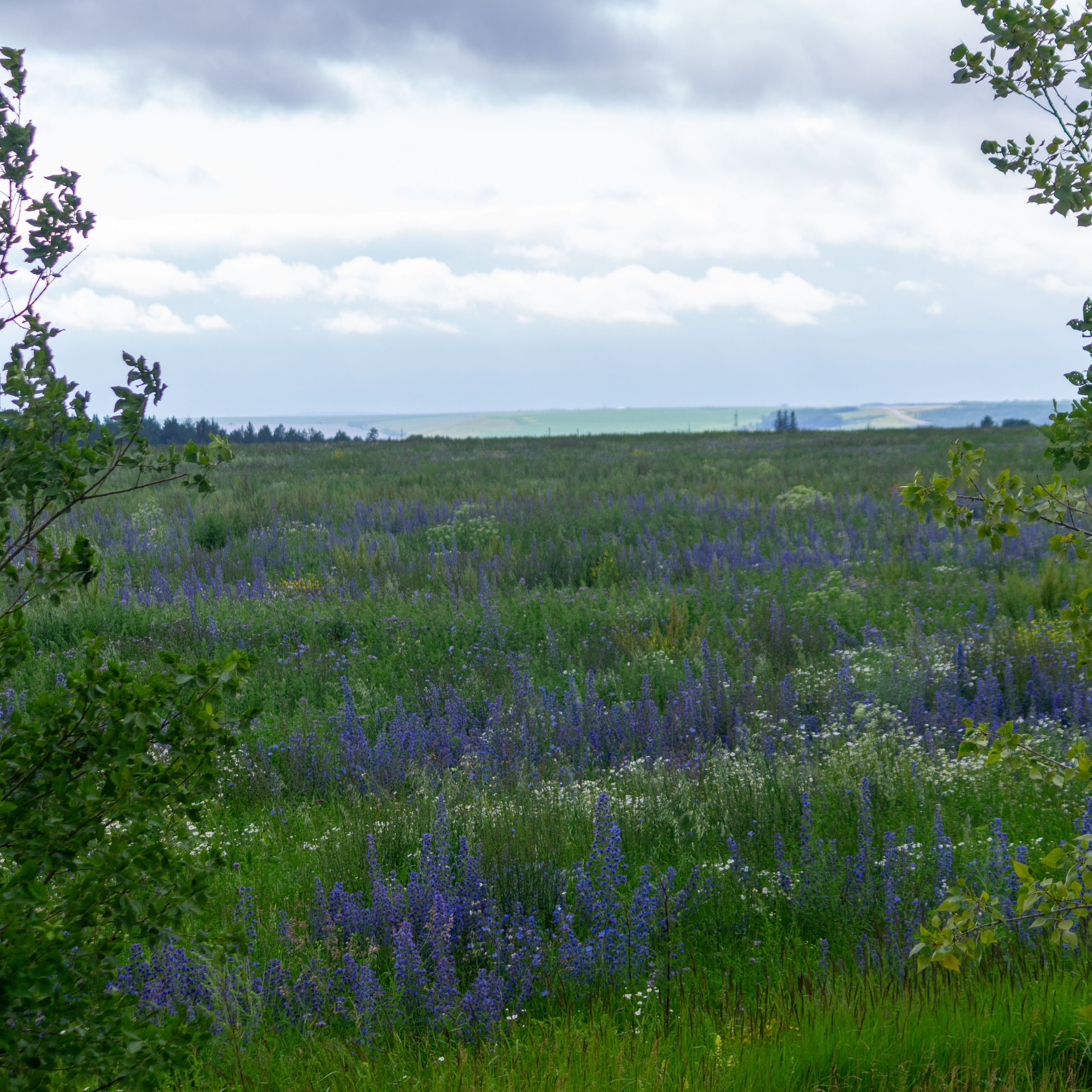 Г. Вятские Поляны лето 2025. Портретный и семейный фотограф Санкт-Петербург