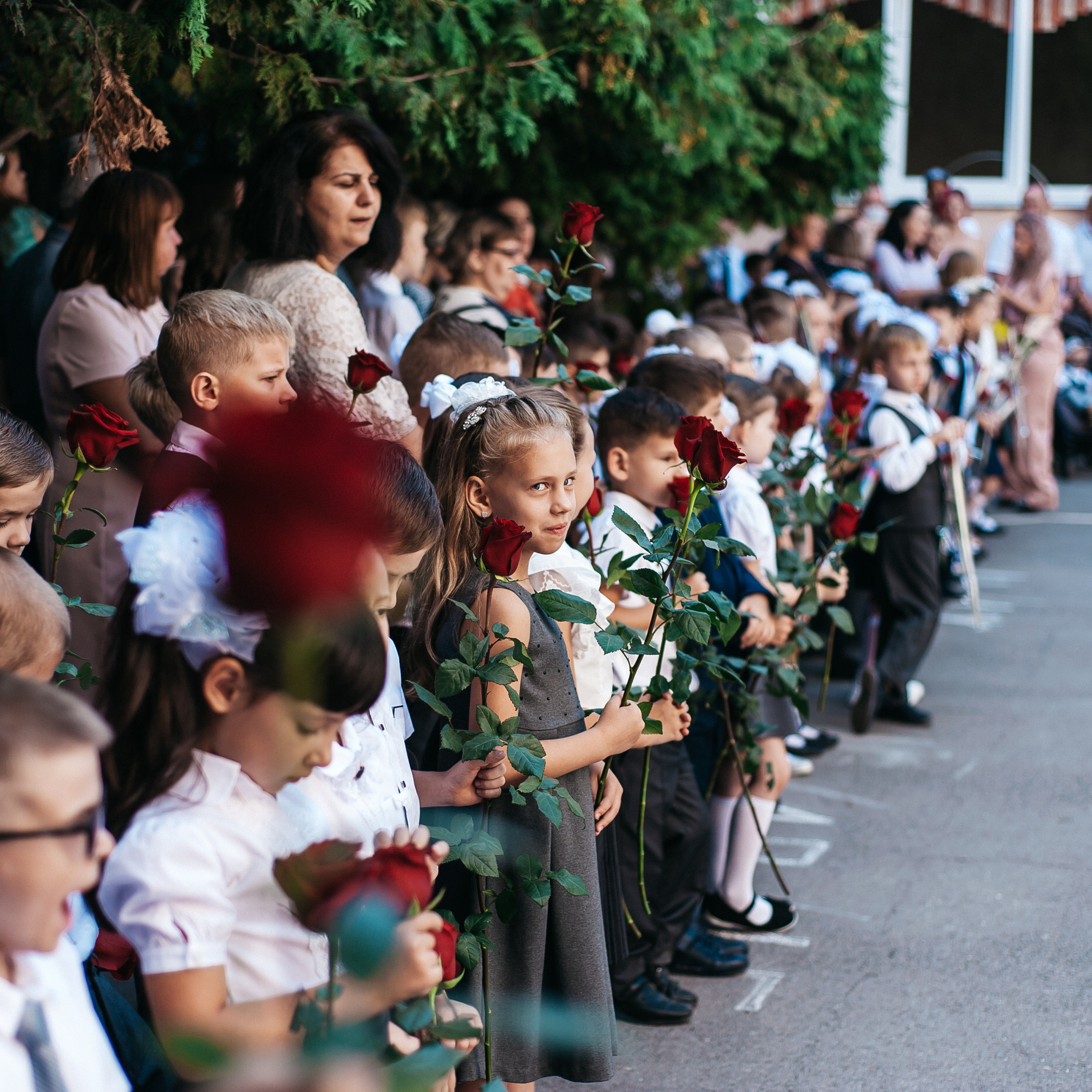 Отзывы. Свадебный и семейный фотограф в Ростове-на-Дону Алина Астахова