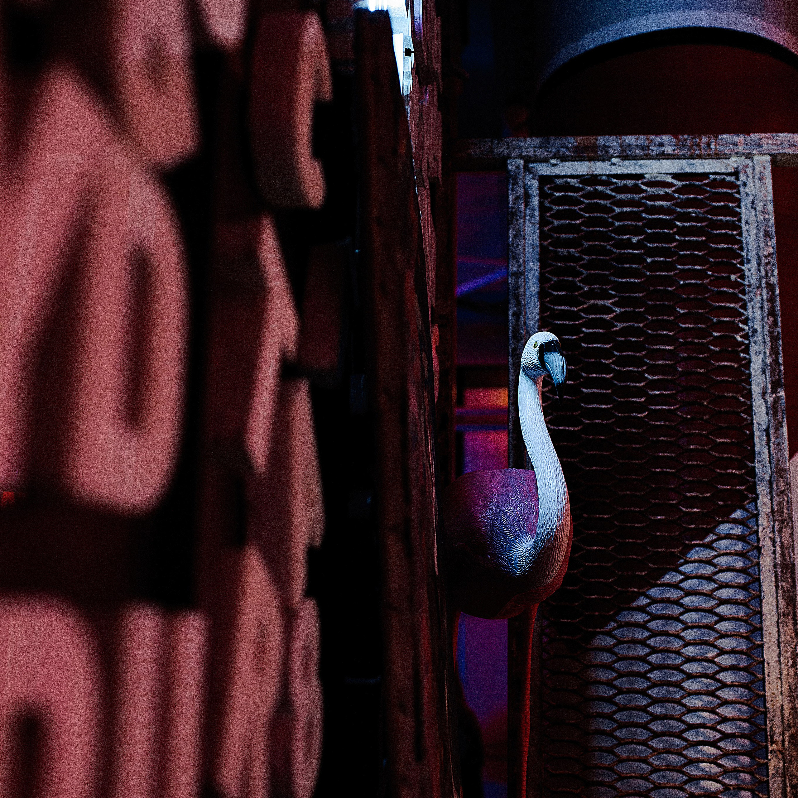 Отзывы. Свадебный и семейный фотограф в Ростове-на-Дону Алина Астахова