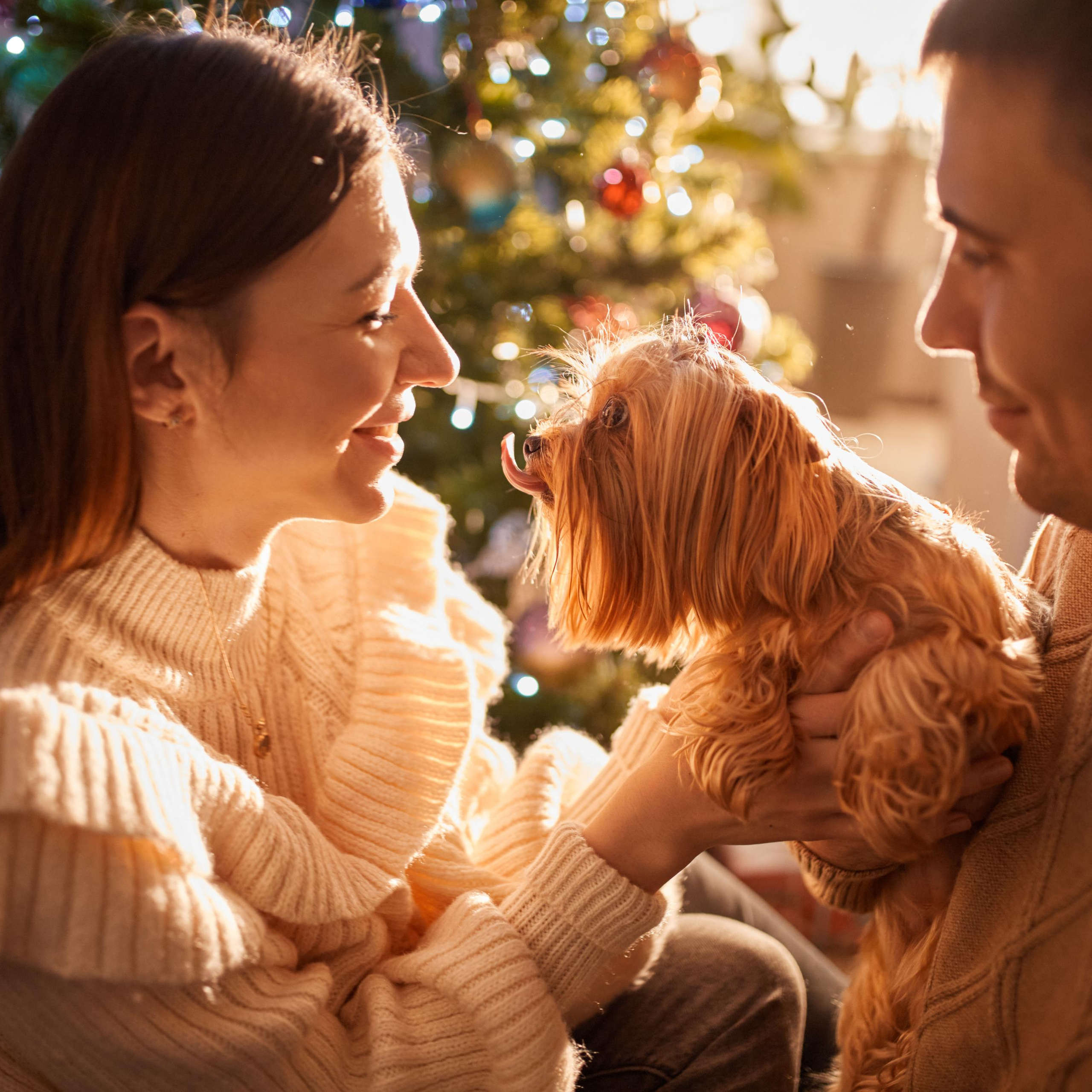 Рождественское утро