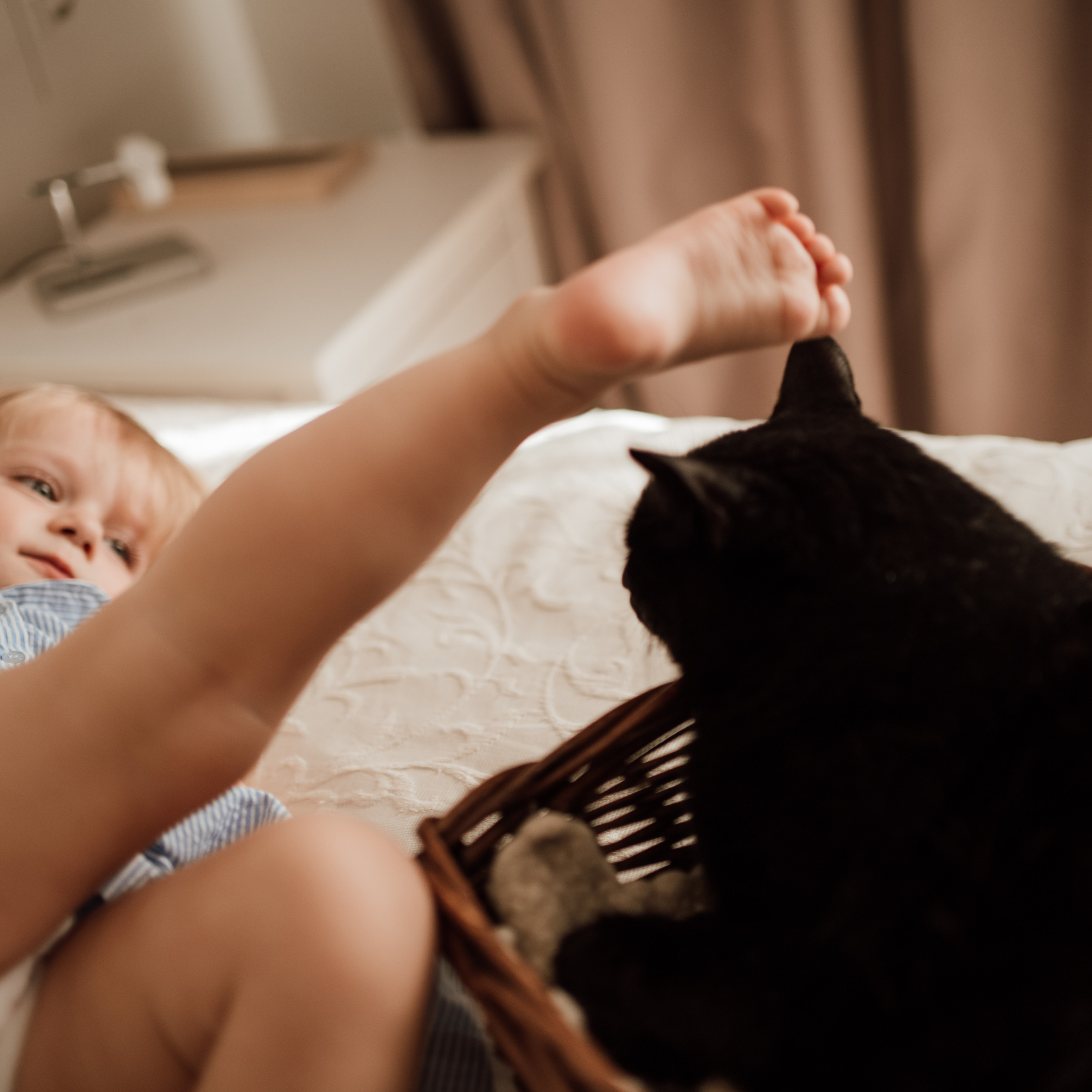 Кристина, Тимофей и кот