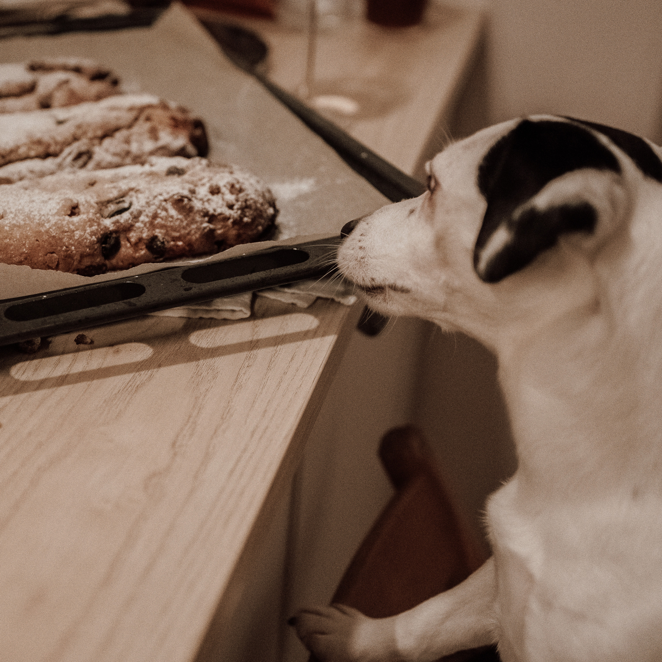 Штоллены у Насти