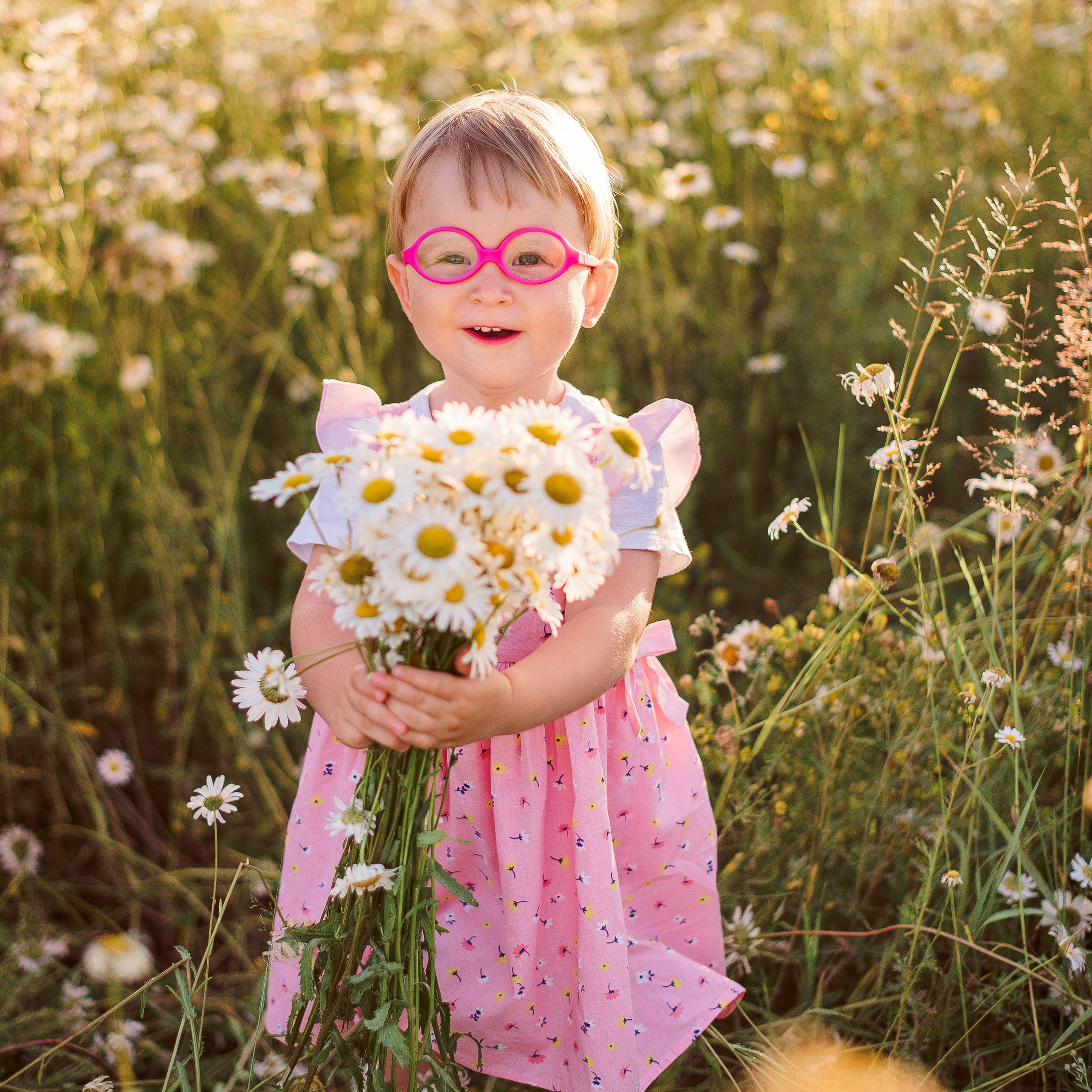 РОМАШКОВАЯ ИСТОРИЯ