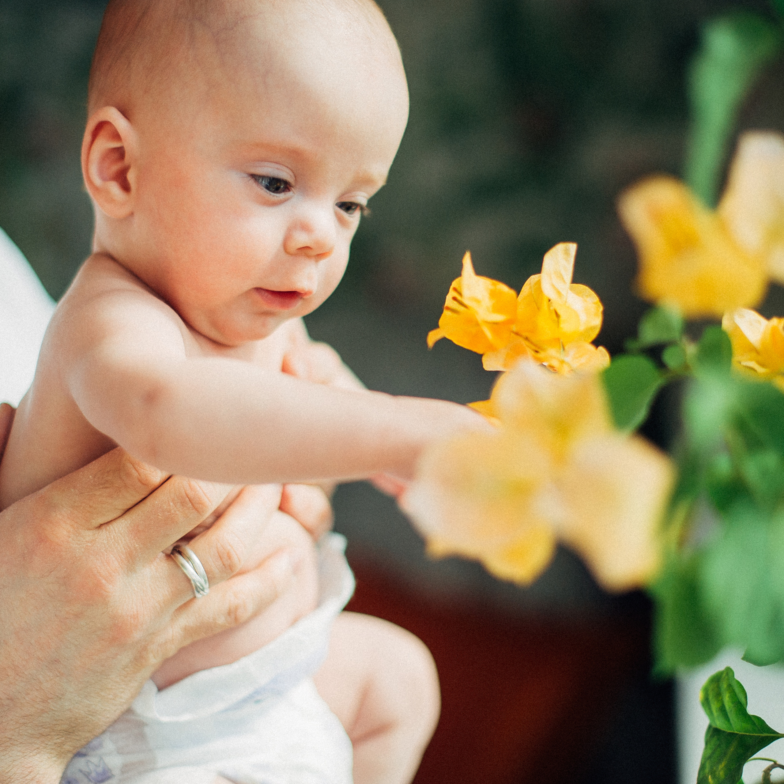 АЛЁНА, ГОША и ЯРОСЛАВ