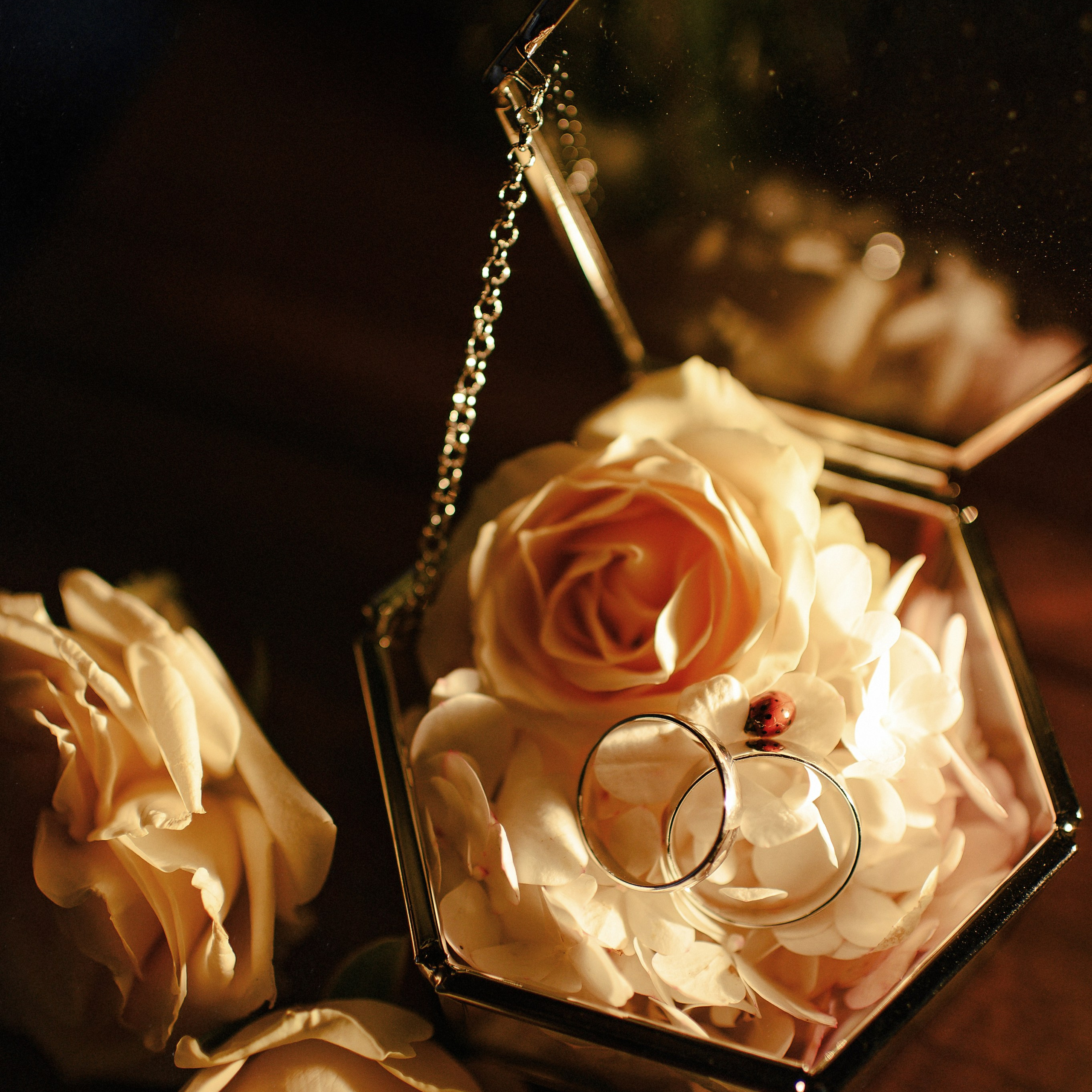 МАРИНА и&nbsp;ЛЕОНИД