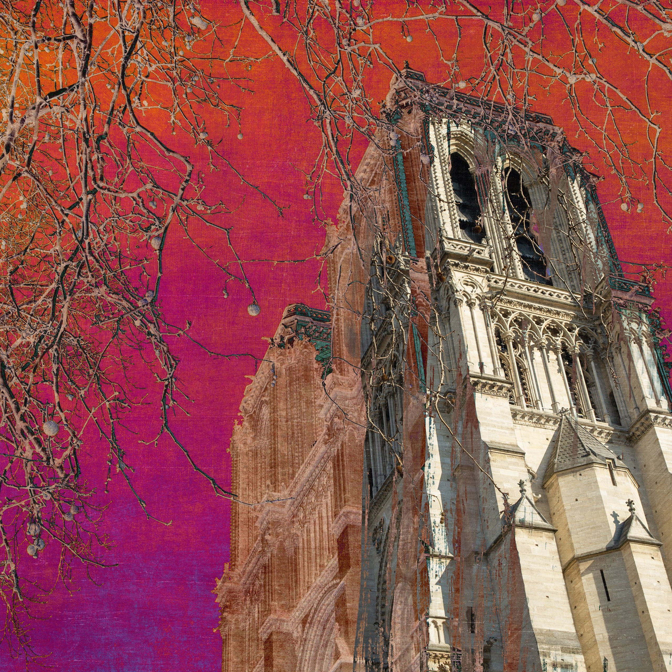 COLLECTIONS. Visual artist and photographer Alexandra Muravyeva