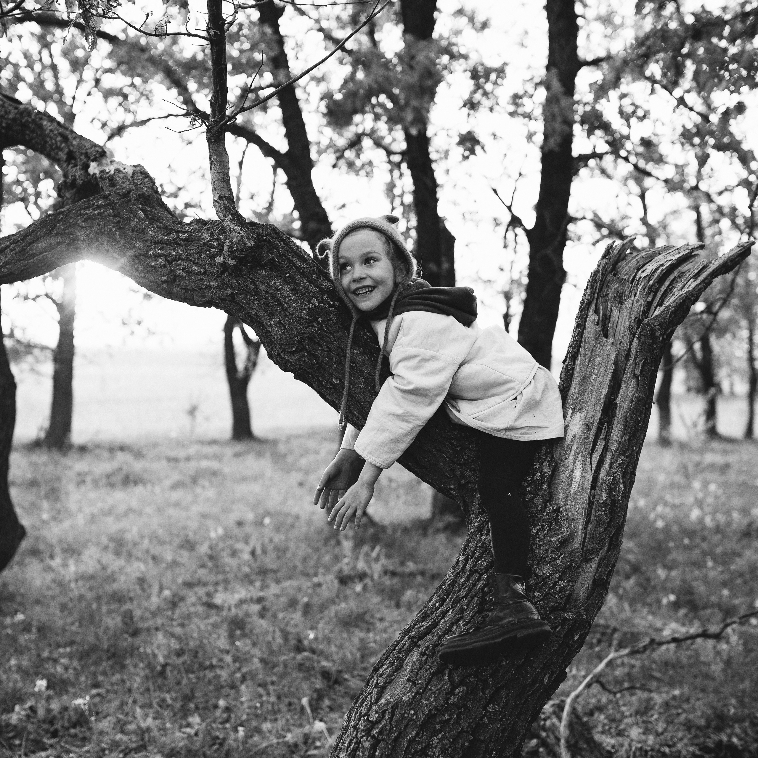 Как-то в лесу…