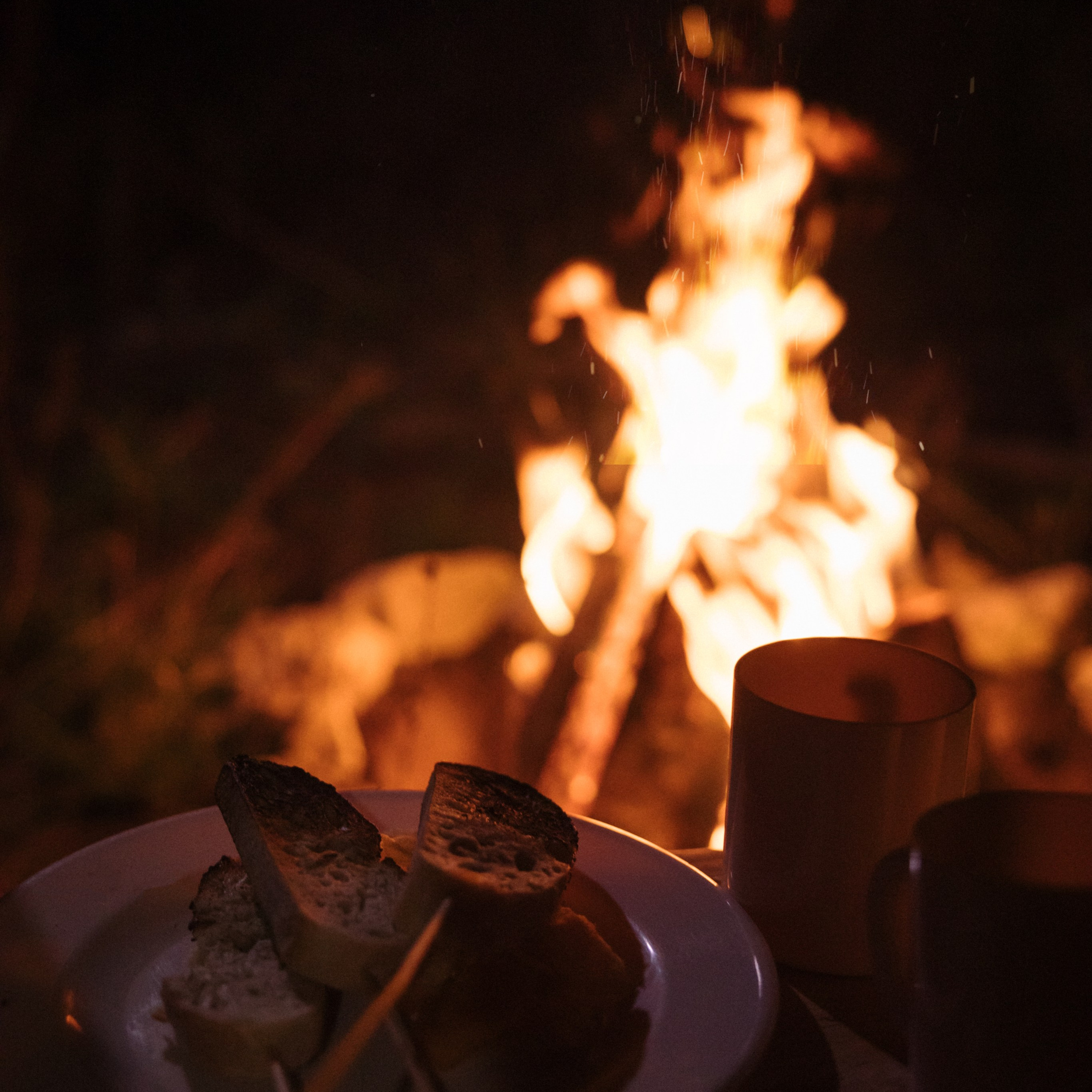 посиделки у костра