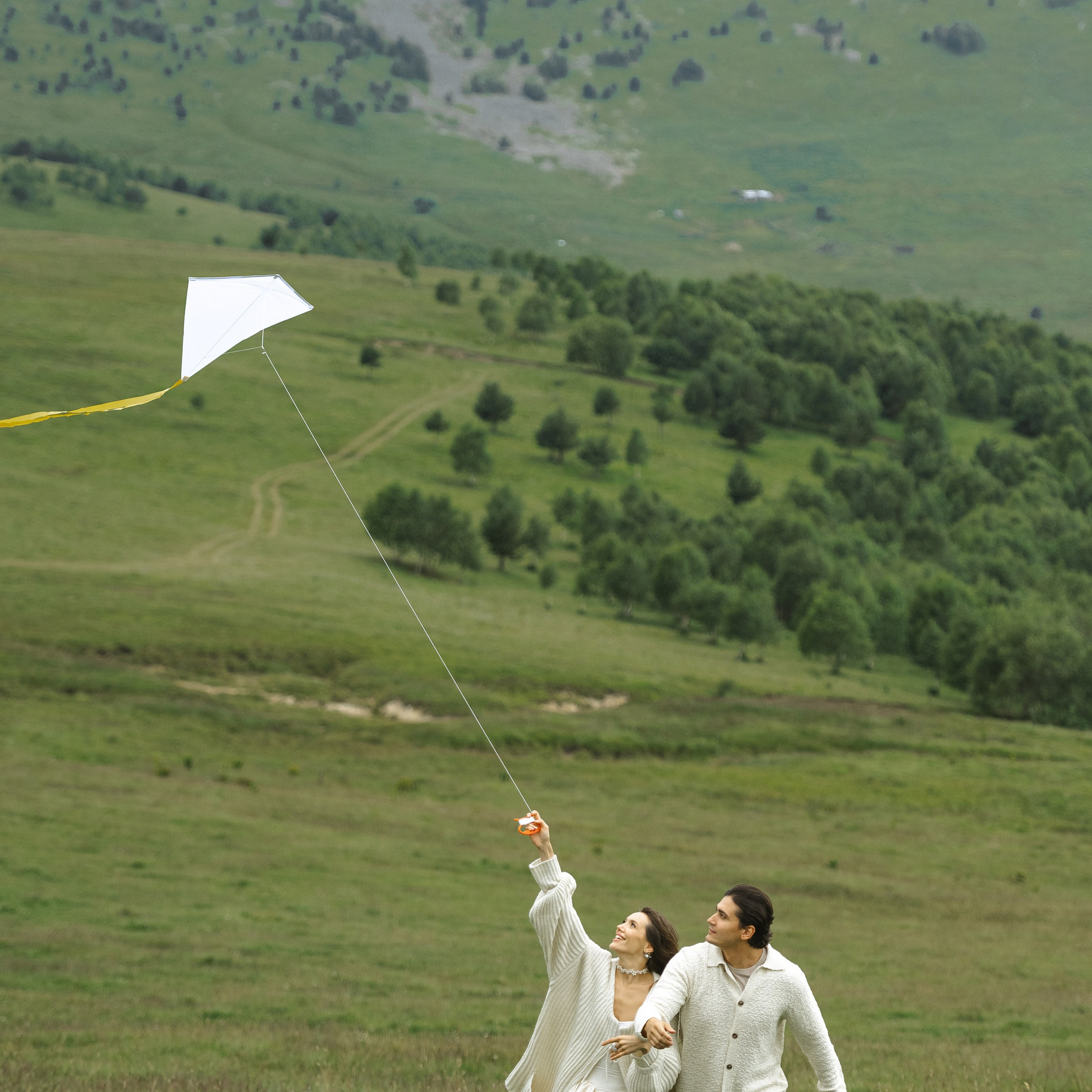 Владимир и Анна