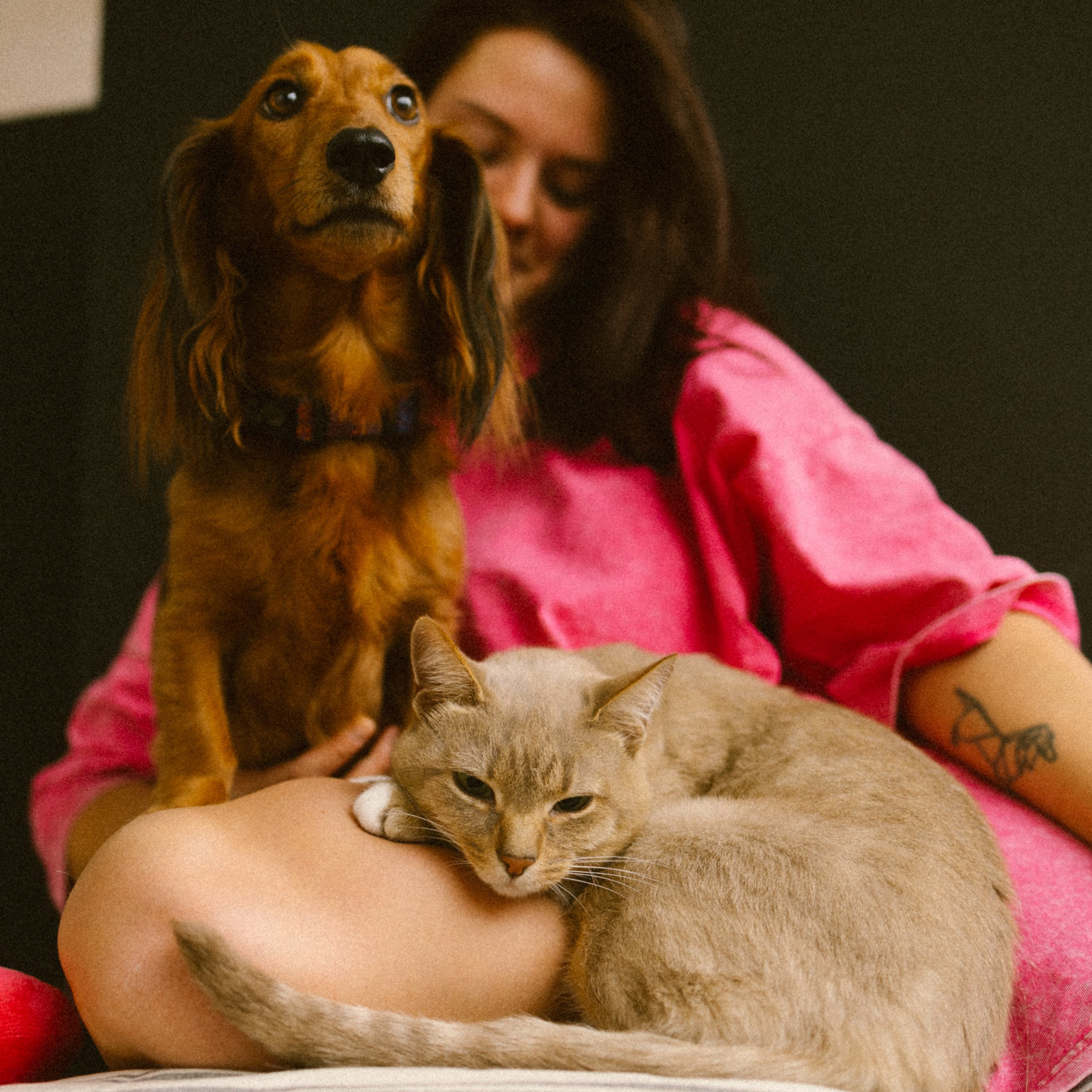 Марина, Липа, Бейлиз