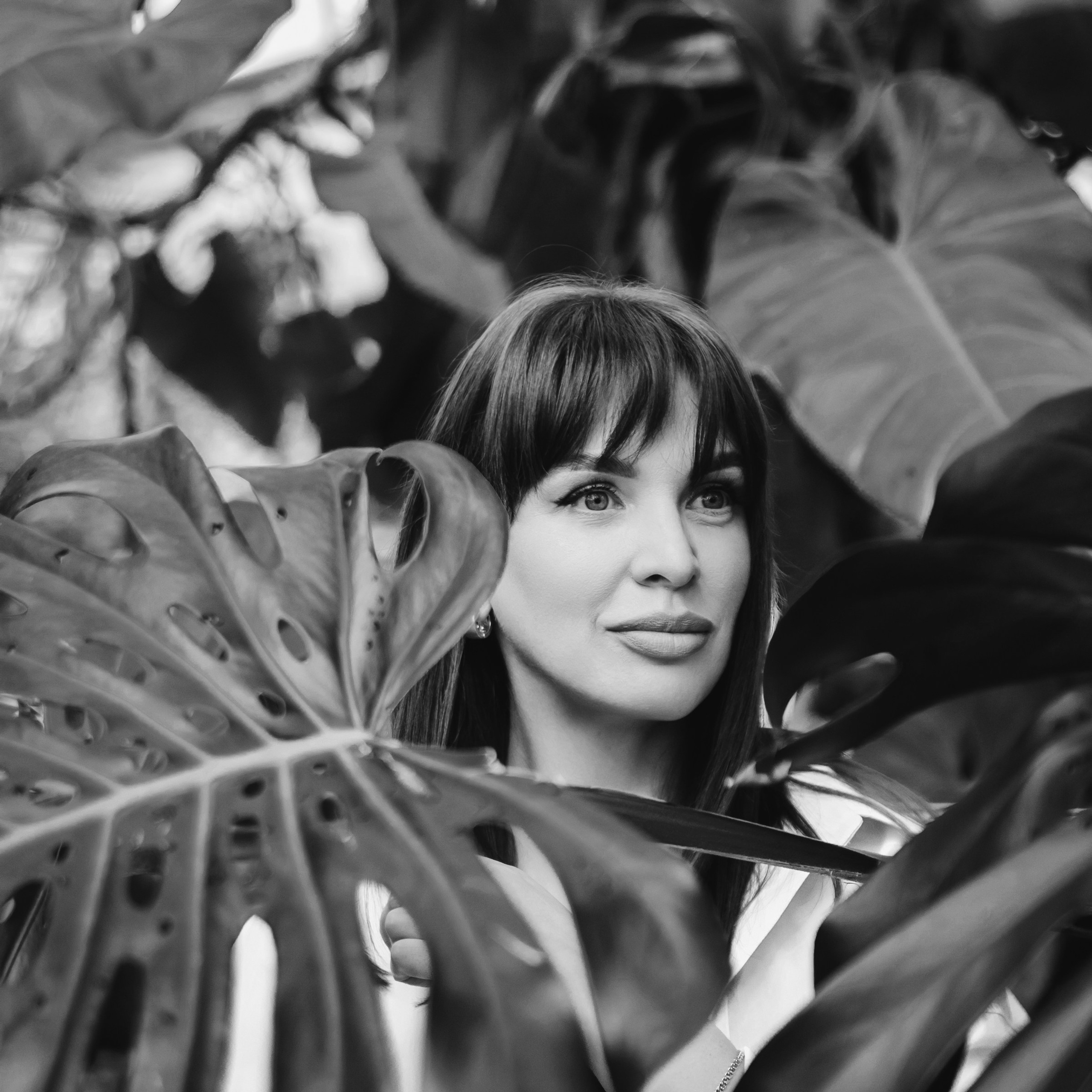 Летняя серия весной