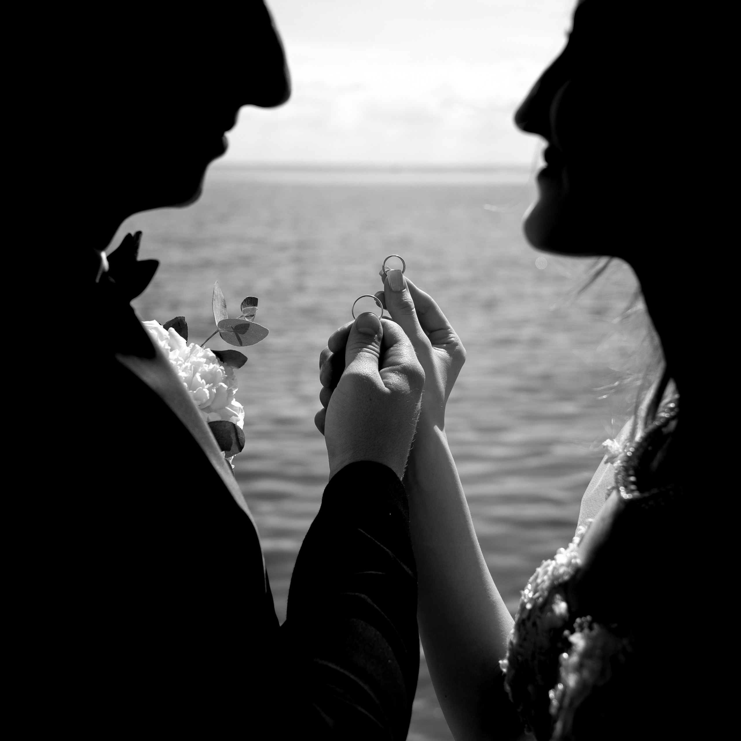 Владимир и Ева