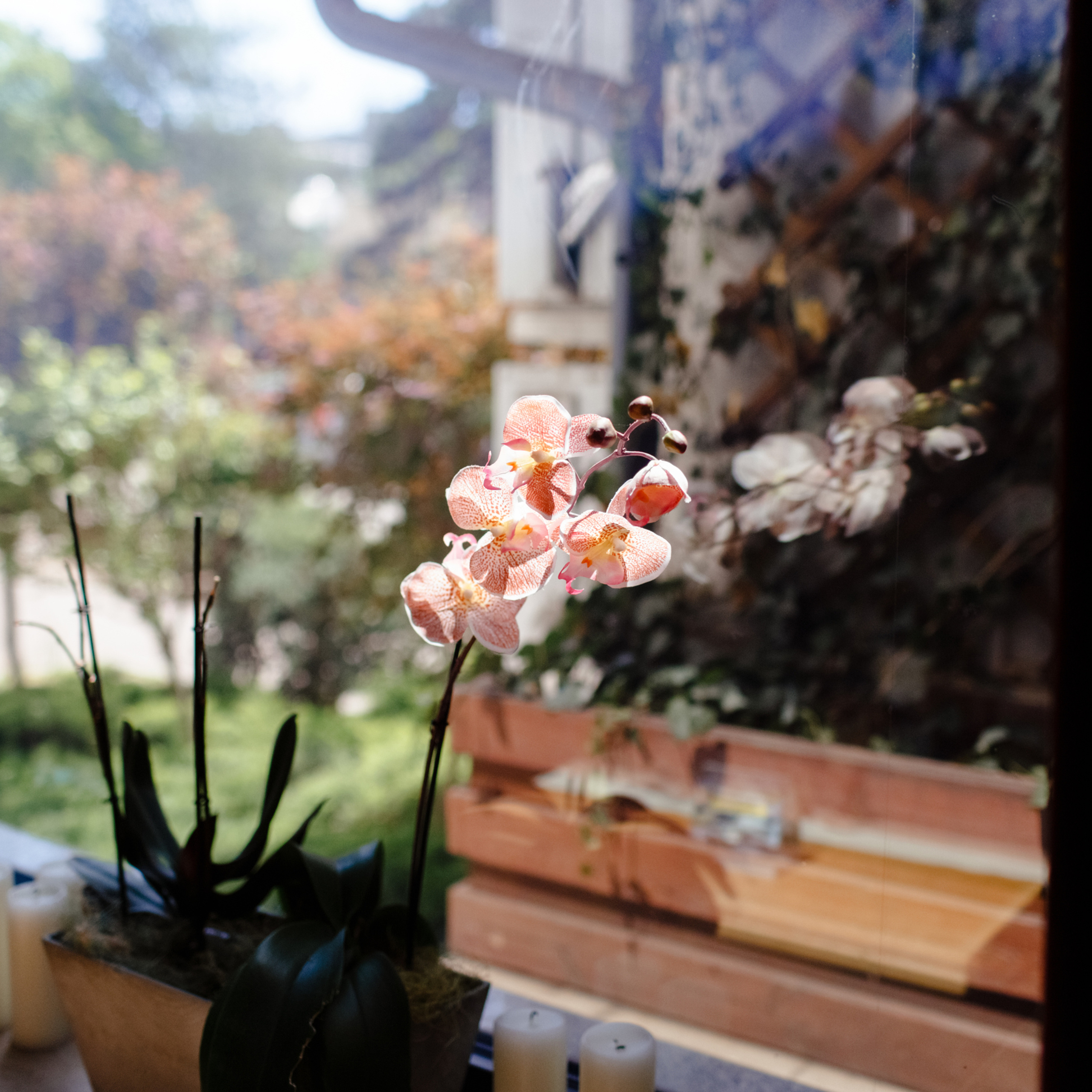 Необычное предложение