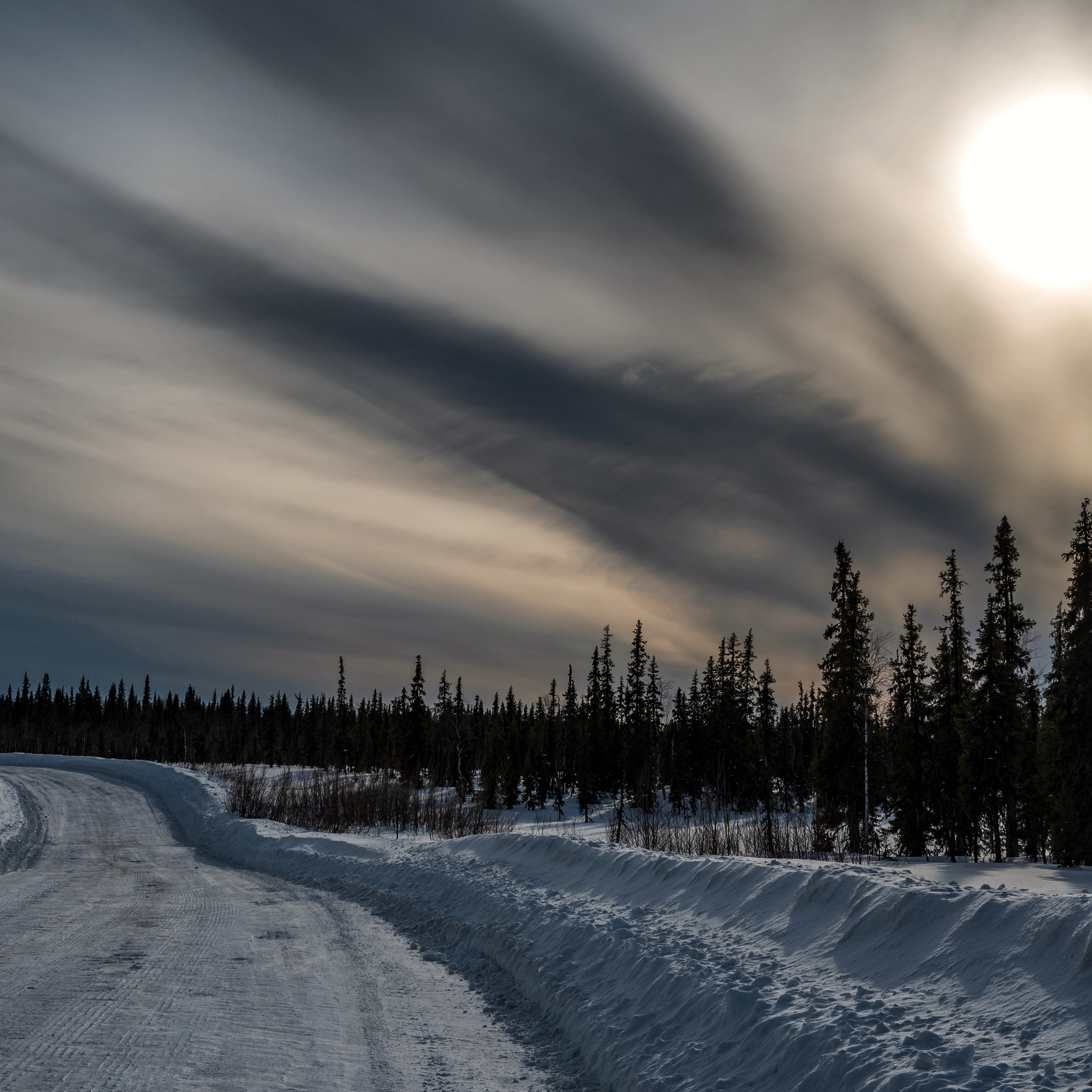 зимняя дорога