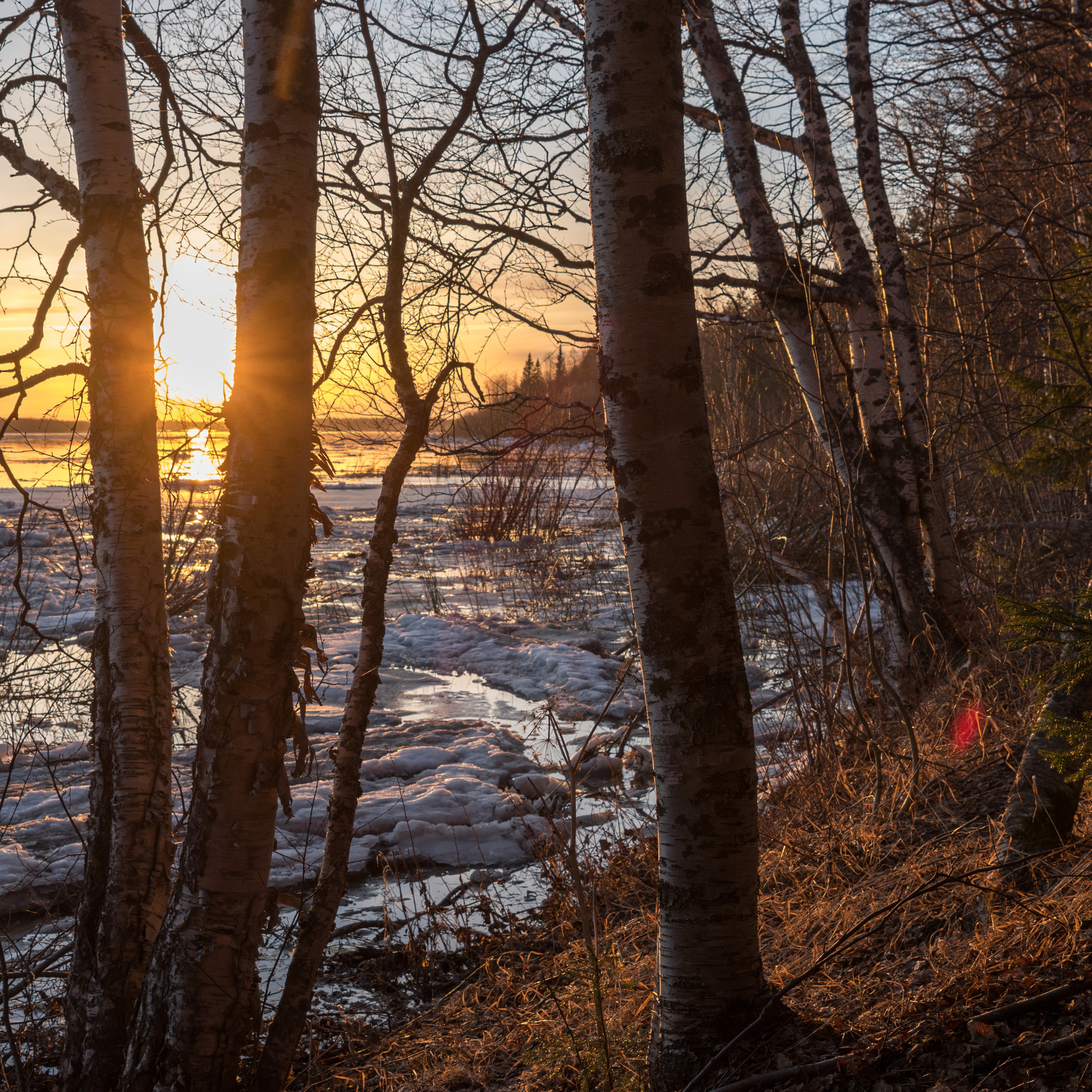 ледоход на Ижме