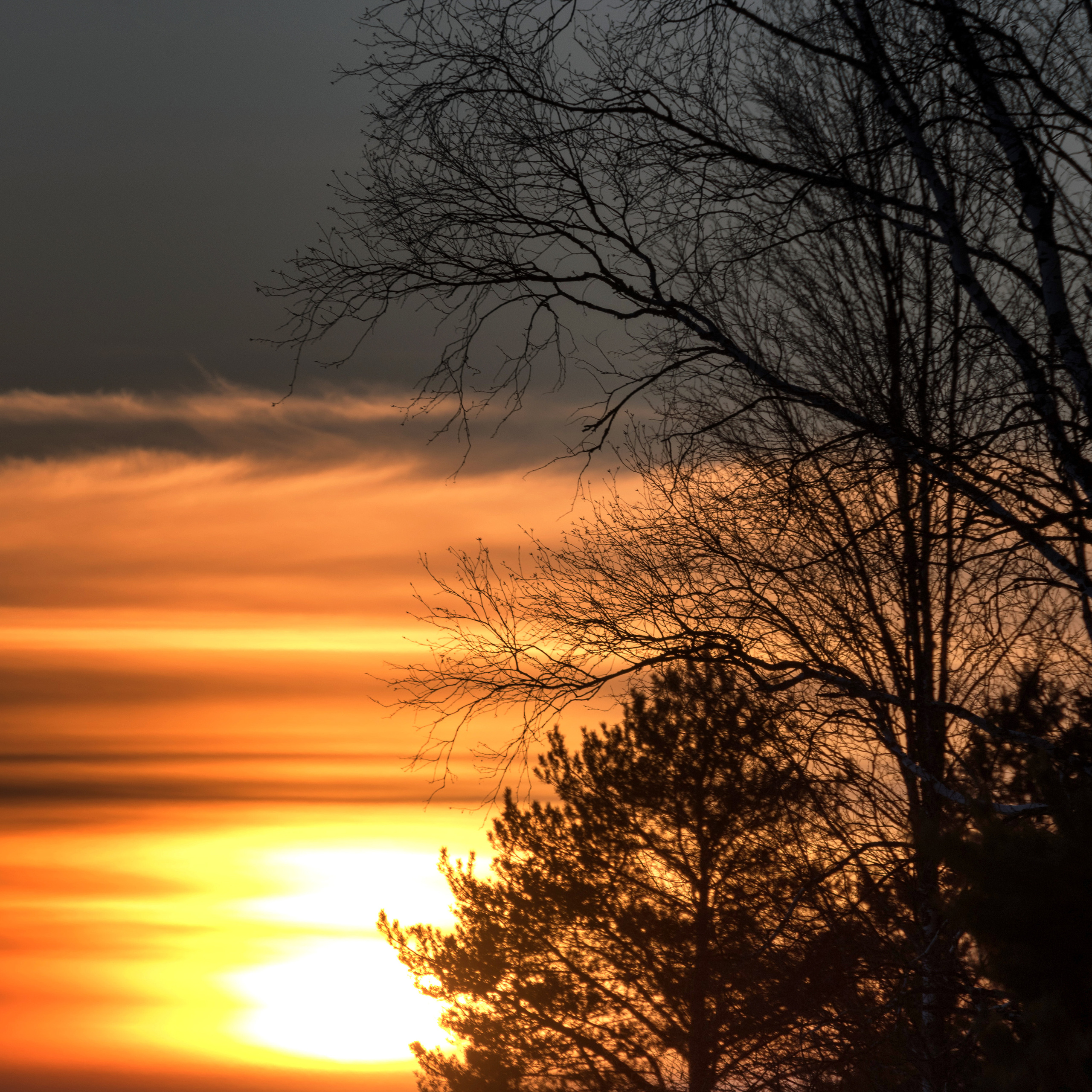 Зимний закат