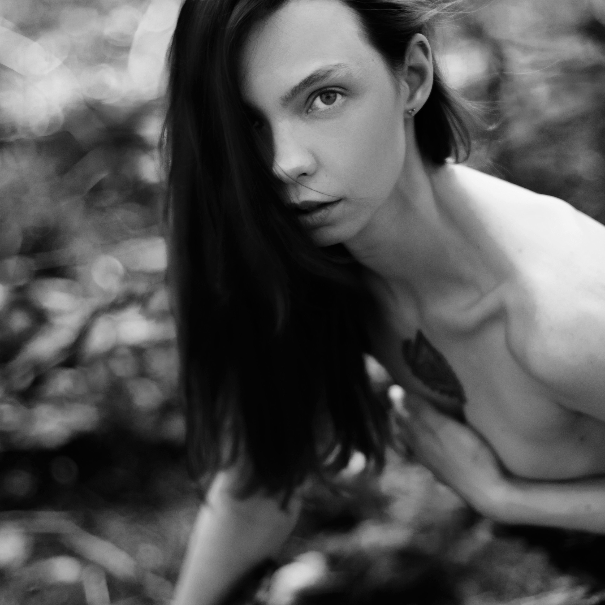 Анастасия. Лес