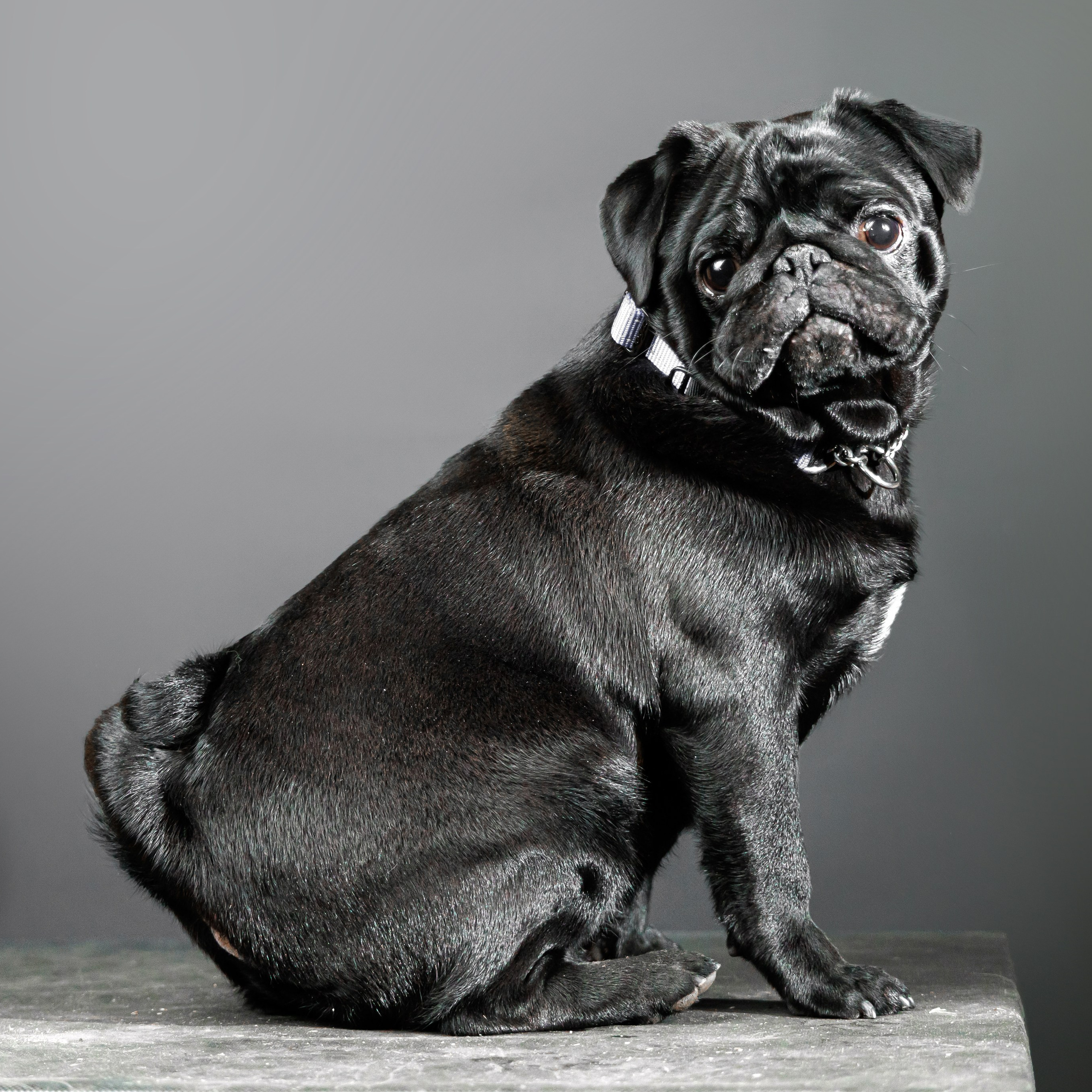 Отзывы. Репортажный, Event фотограф в Санкт-Петербурге и ЛО Морозов Дмитрий