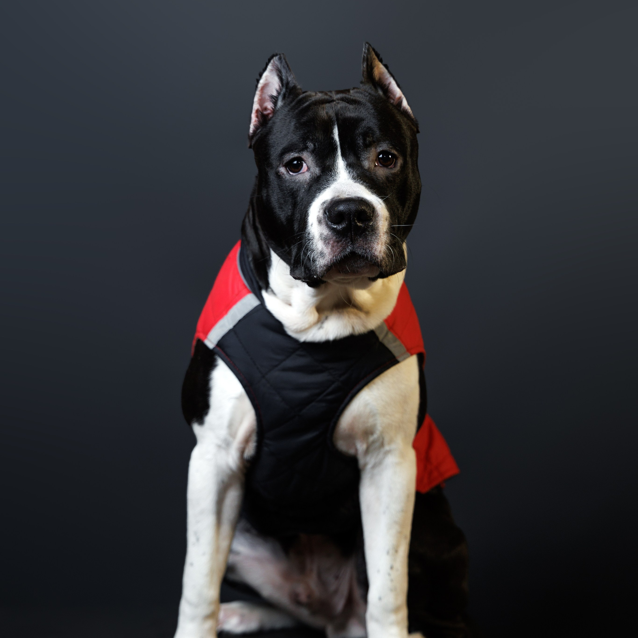 Отзывы. Репортажный, Event фотограф в Санкт-Петербурге и ЛО Морозов Дмитрий