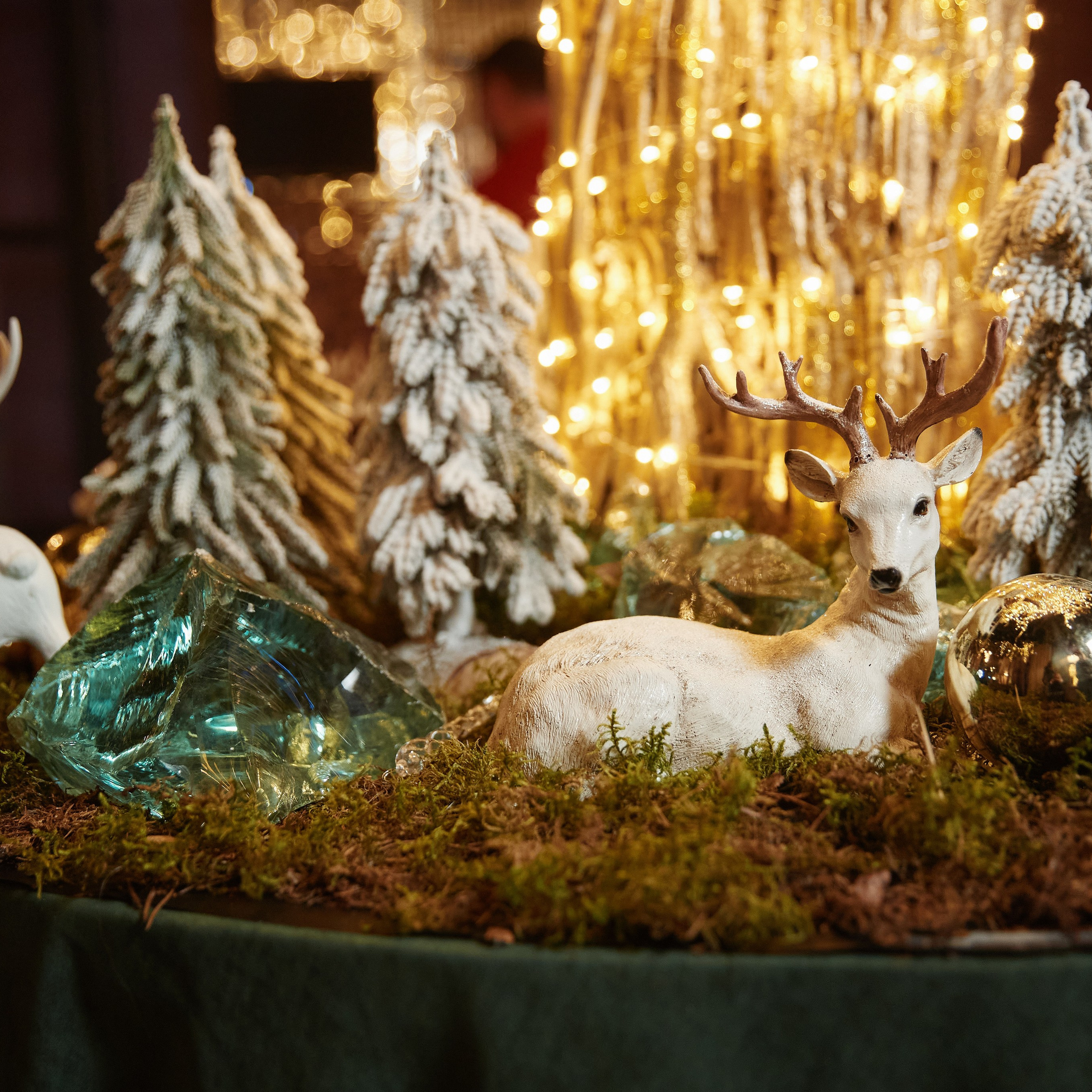 Отзывы. Репортажный Фотограф | Константин Кондрашов