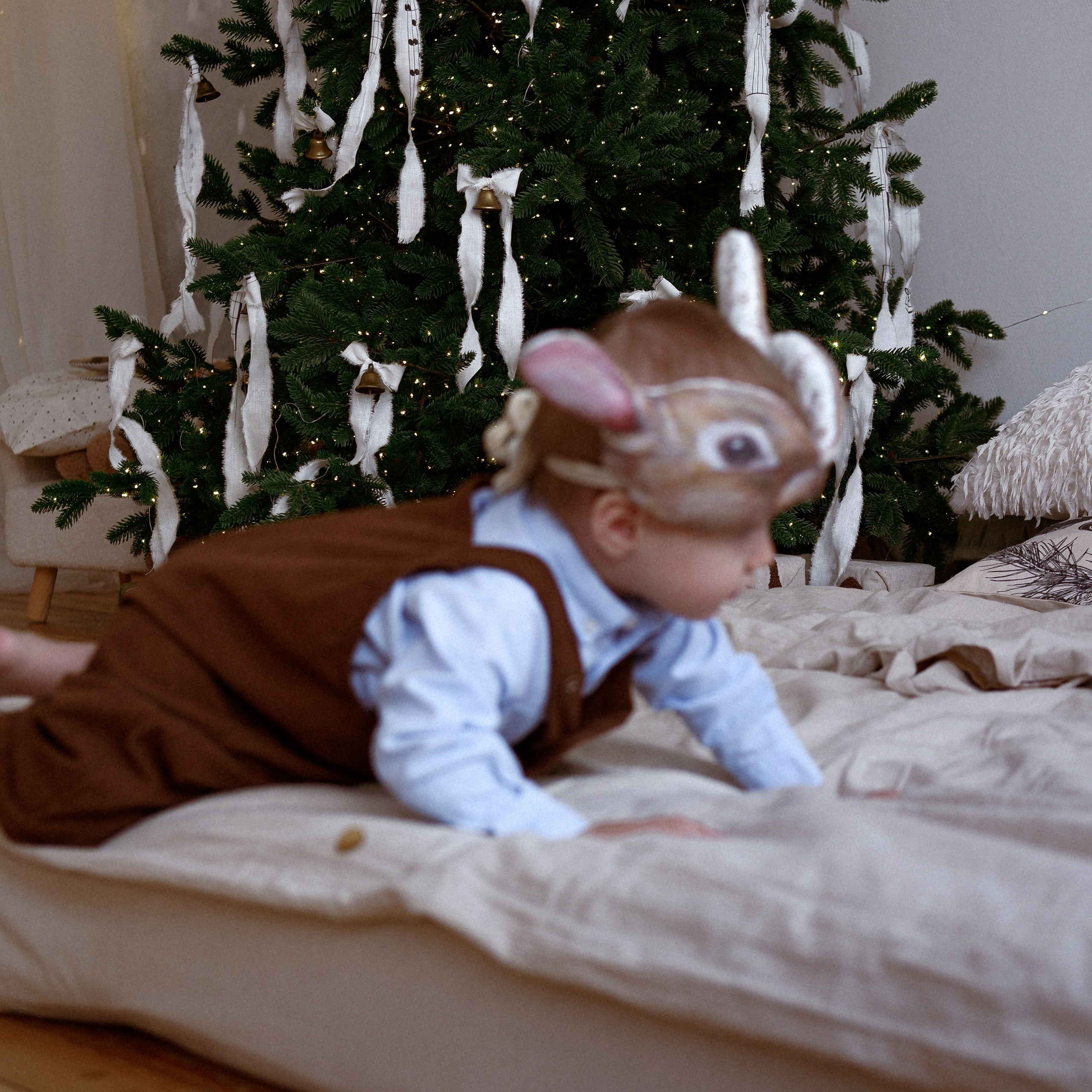 Артём. Новогодняя съёмка. Фотограф Новосибирск