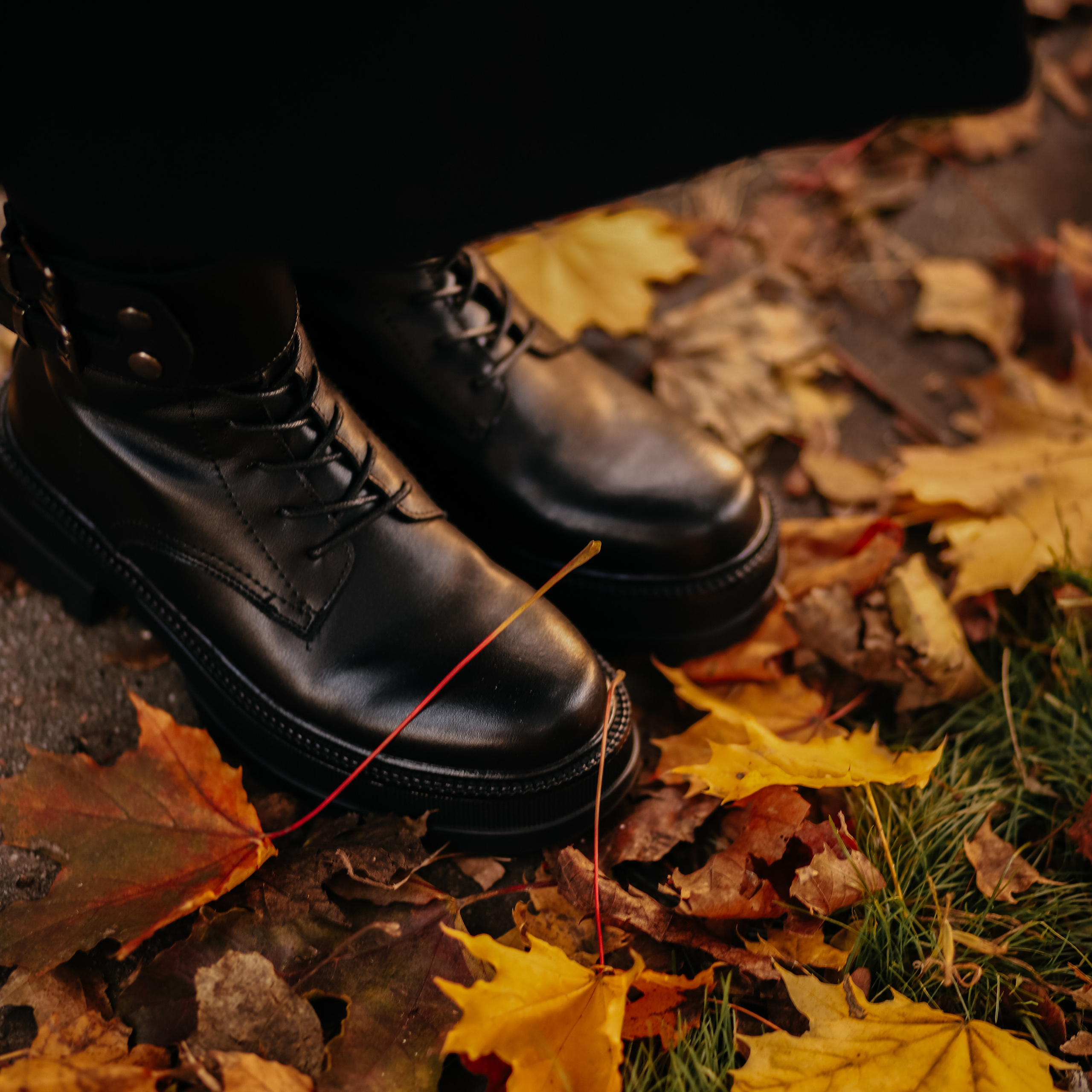 KATE | AUTUMN ELEGANCE