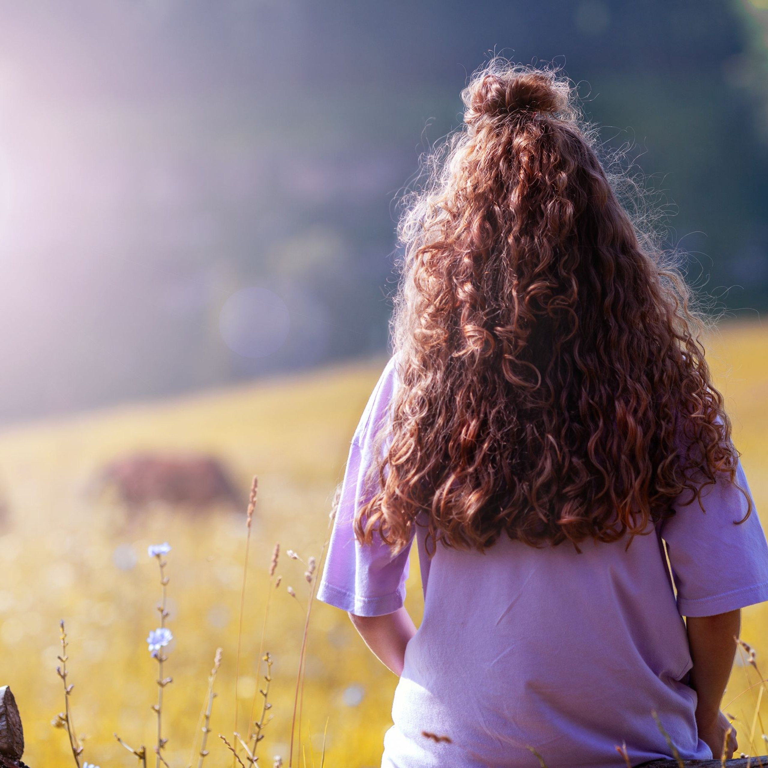 Путешествие