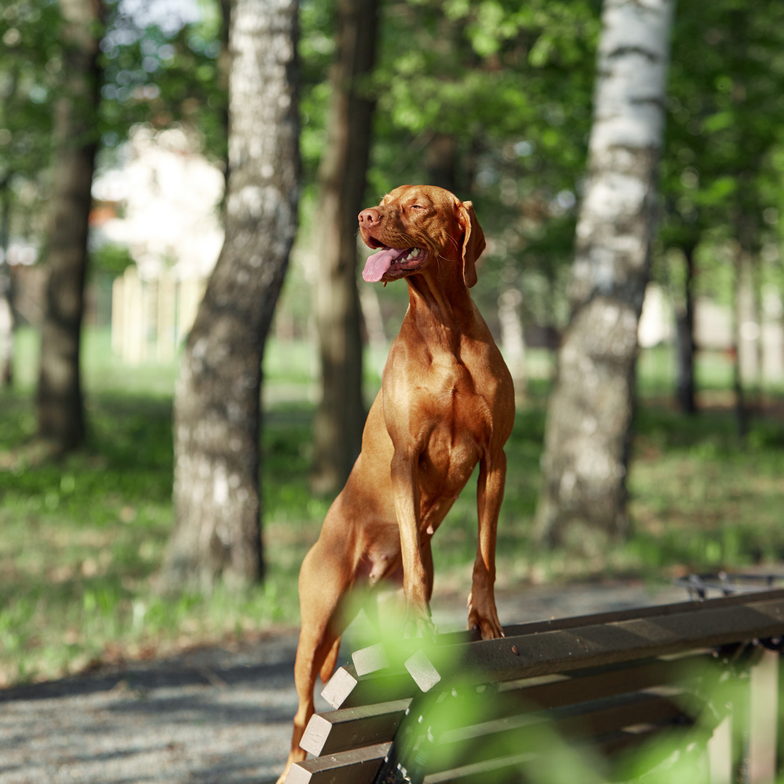 Отзывы о фотографе Мячиковой Наталье. Детский и семейный фотограф в Нижнем Новгороде Мячикова Наталья