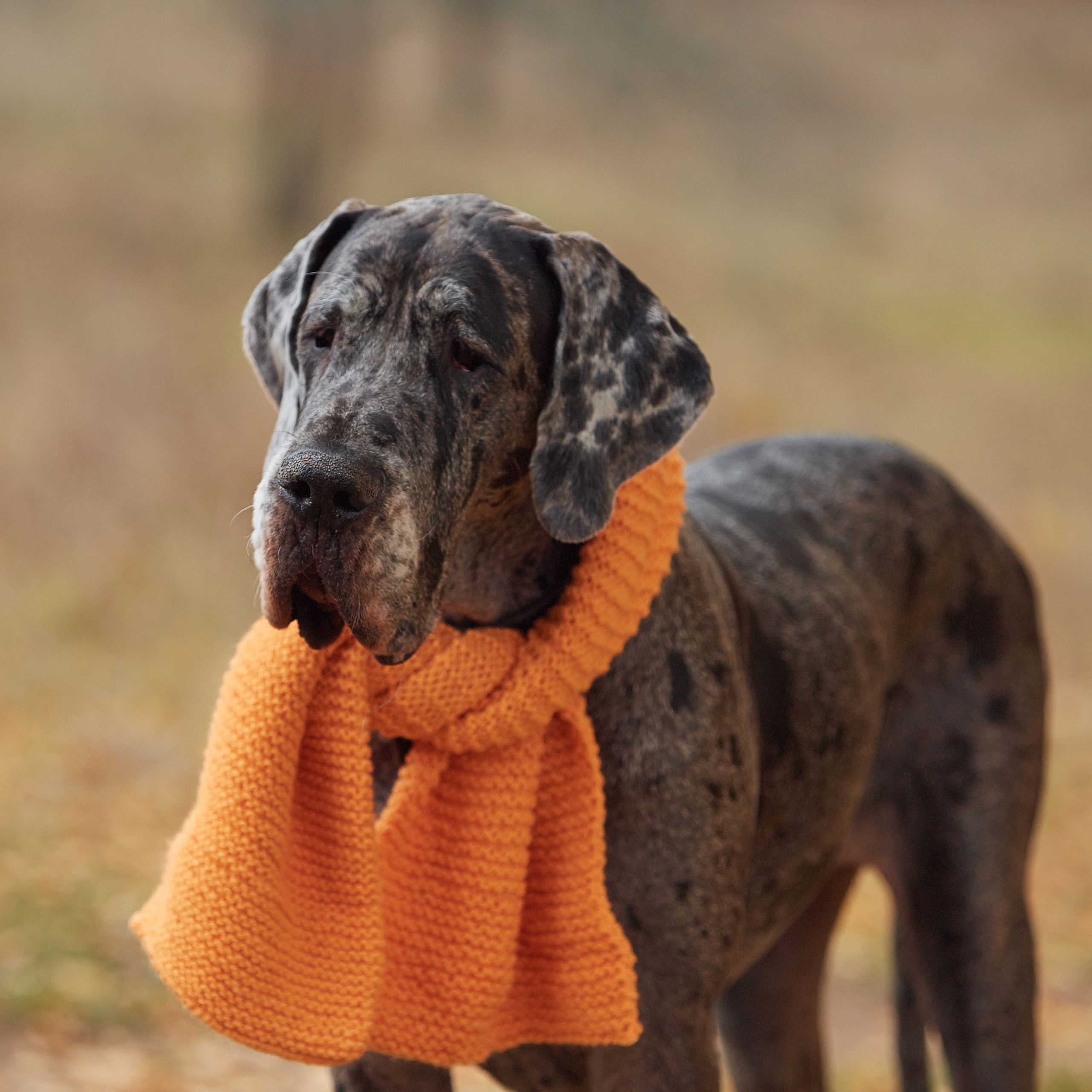 Отзывы о фотографе Мячиковой Наталье. Детский и семейный фотограф в Нижнем Новгороде Мячикова Наталья