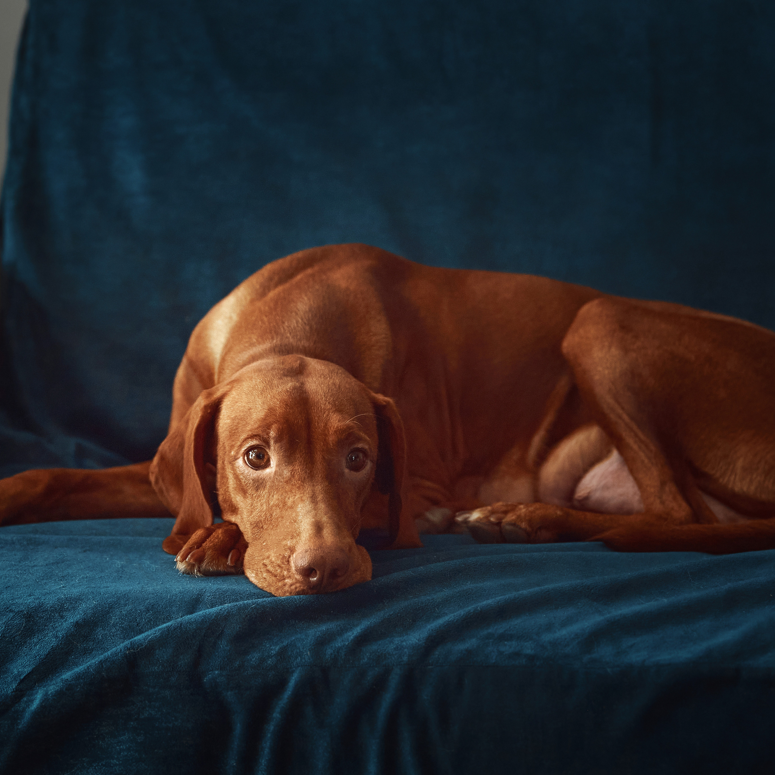 Отзывы о фотографе Мячиковой Наталье. Детский и семейный фотограф в Нижнем Новгороде Мячикова Наталья
